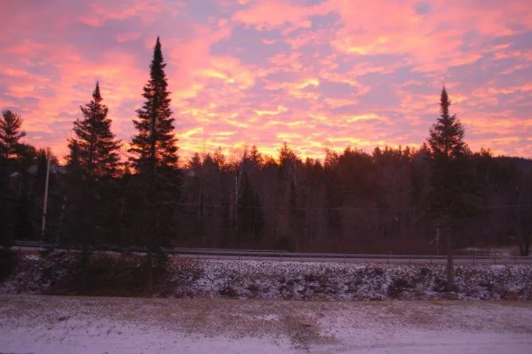 Garden view in Gore Mountain Lodge