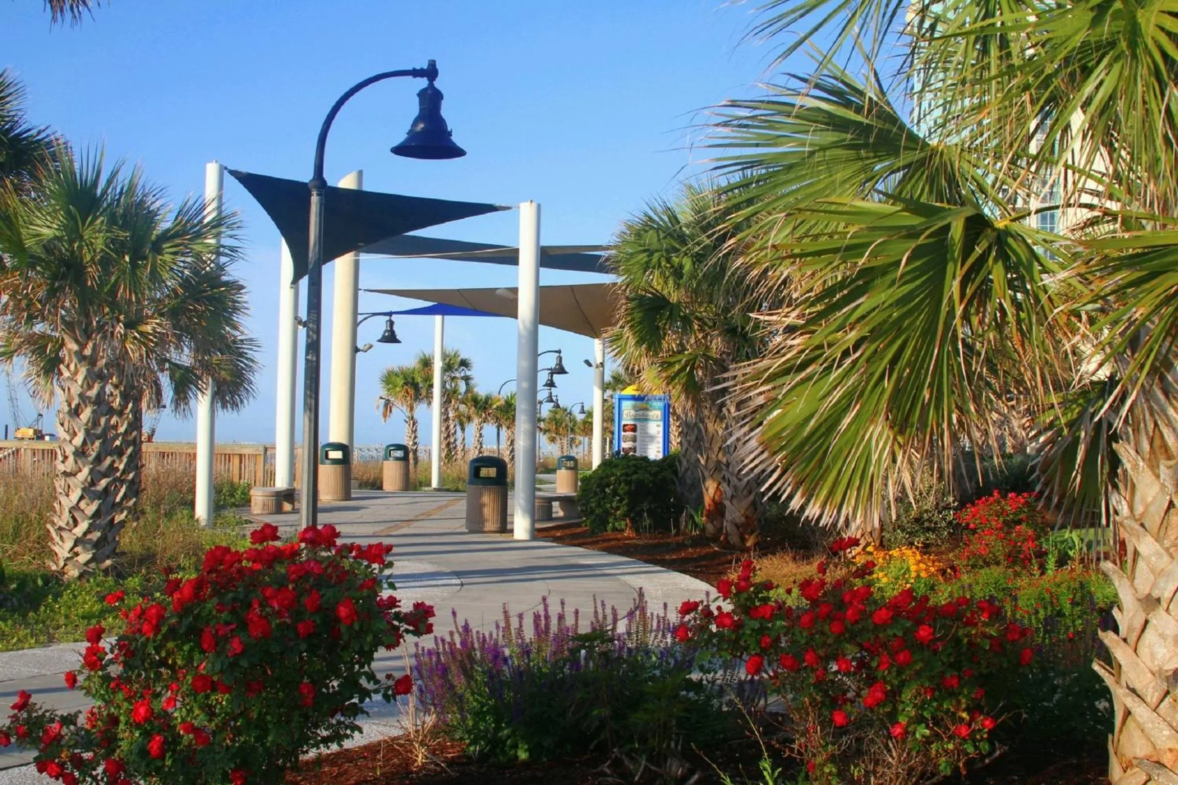 Day in Bar Harbor On The Oceanfront