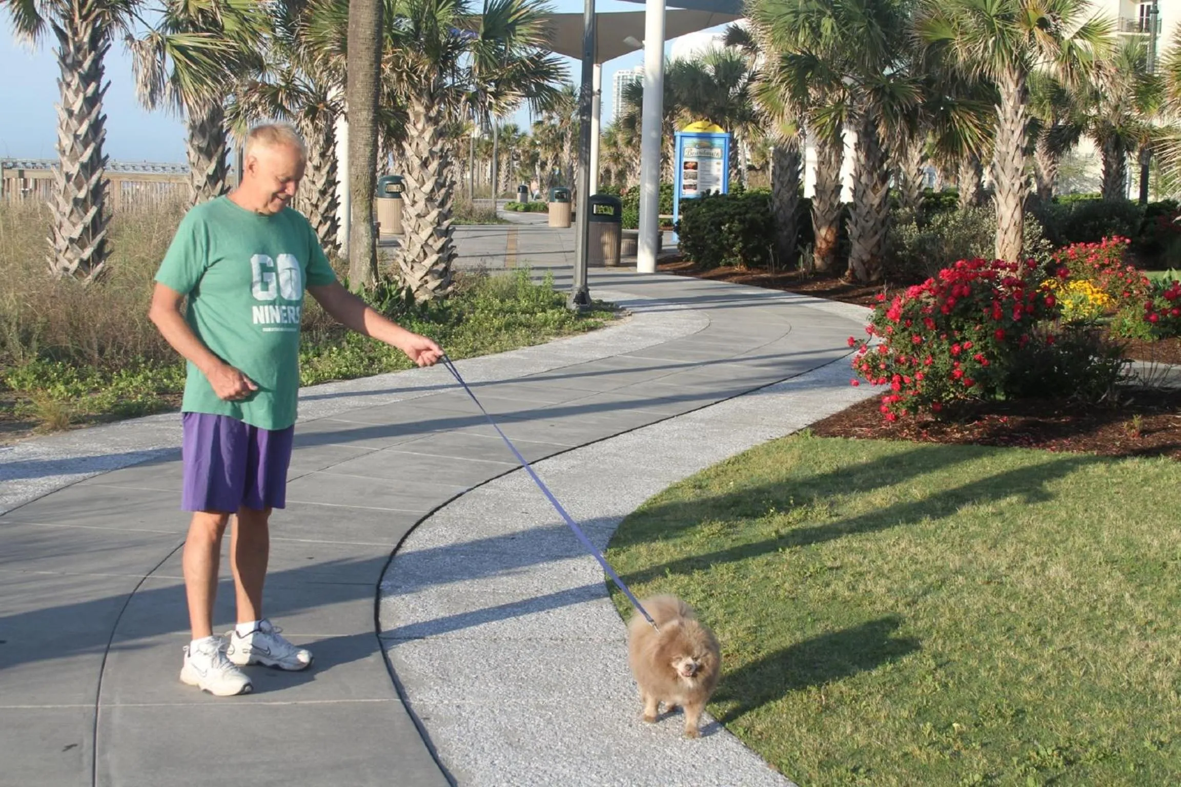 Day in Bar Harbor On The Oceanfront