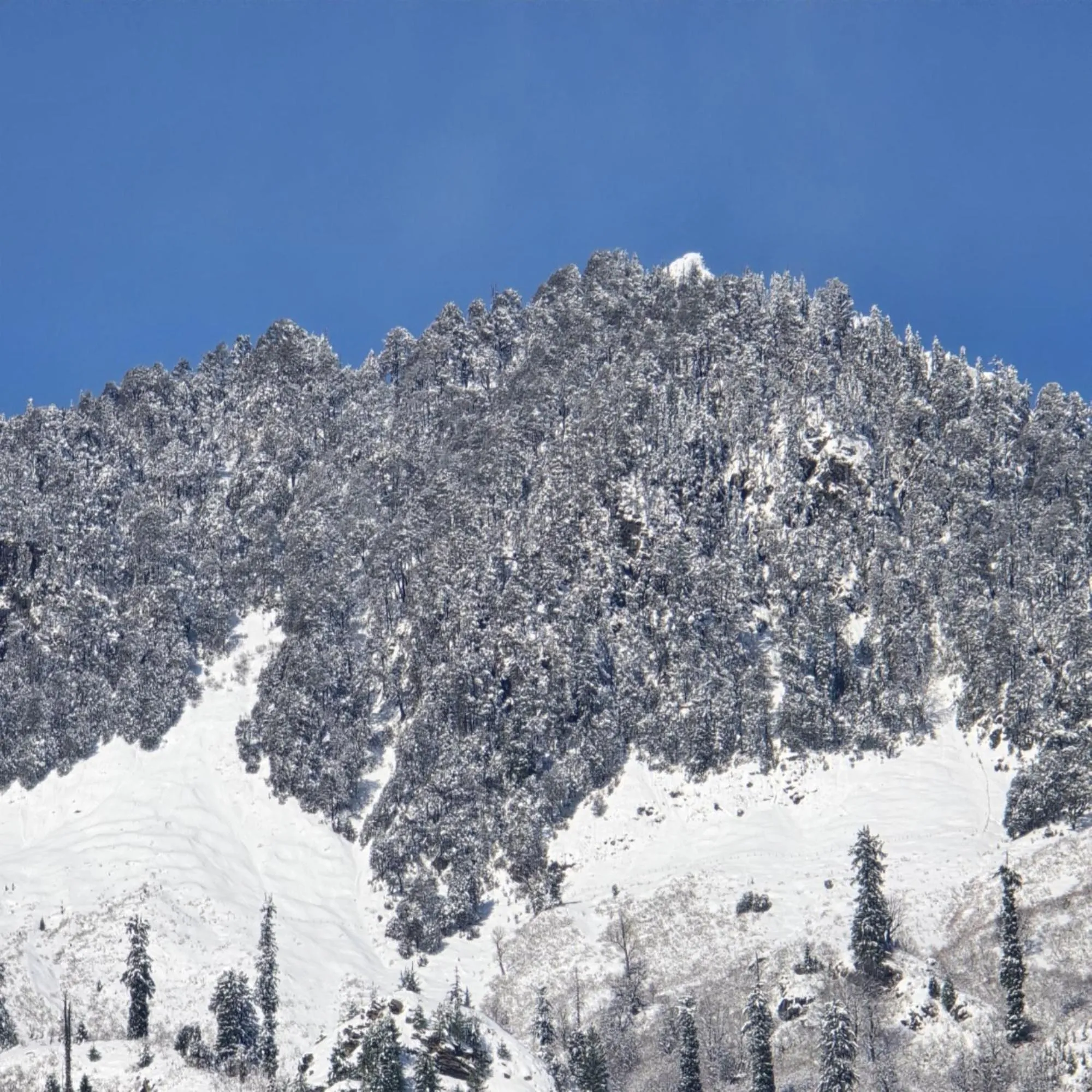 Natural landscape in MB Igloo Resort