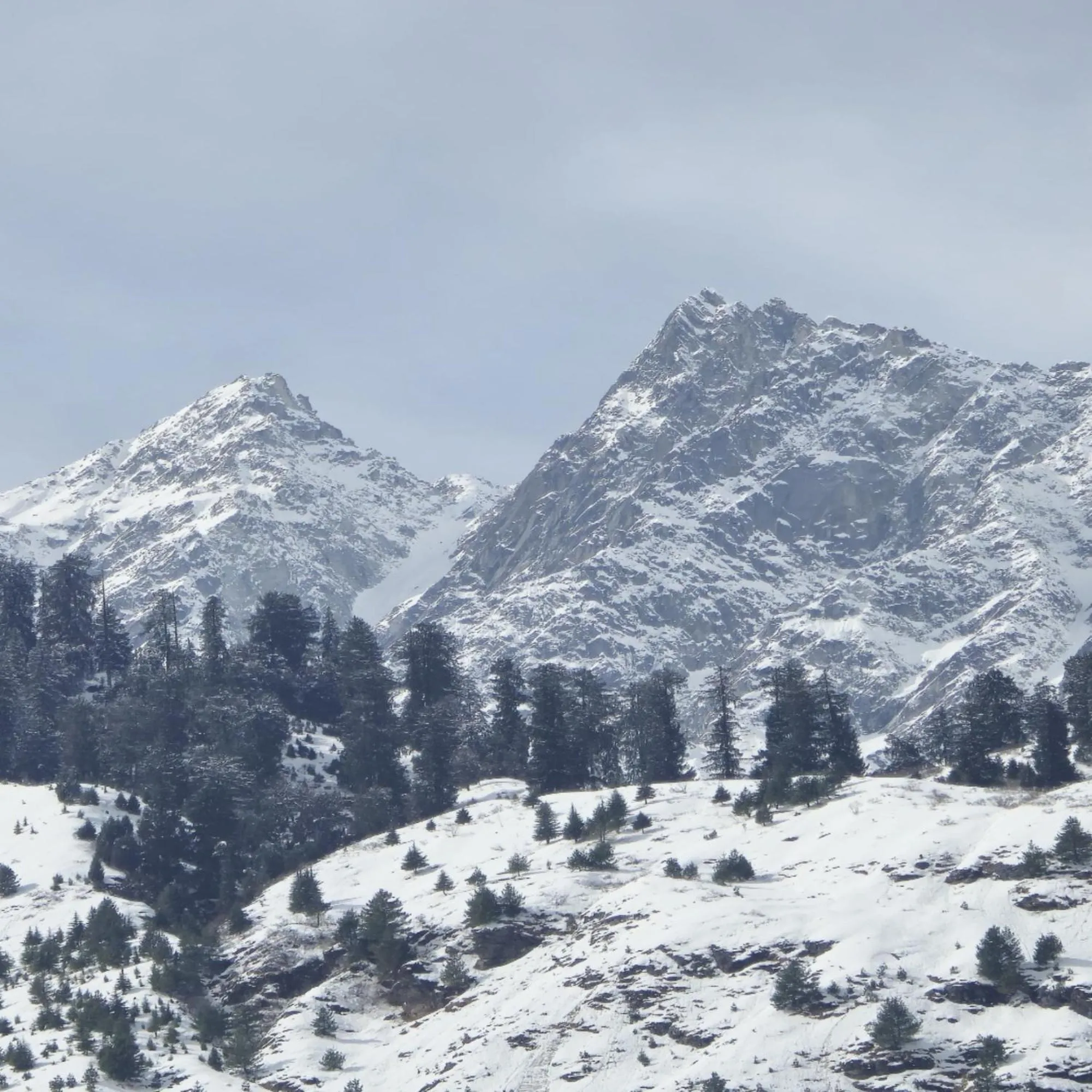 Natural landscape in MB Igloo Resort