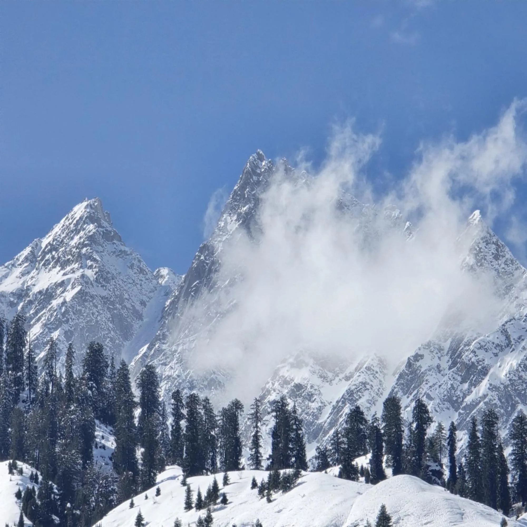 Natural landscape in MB Igloo Resort