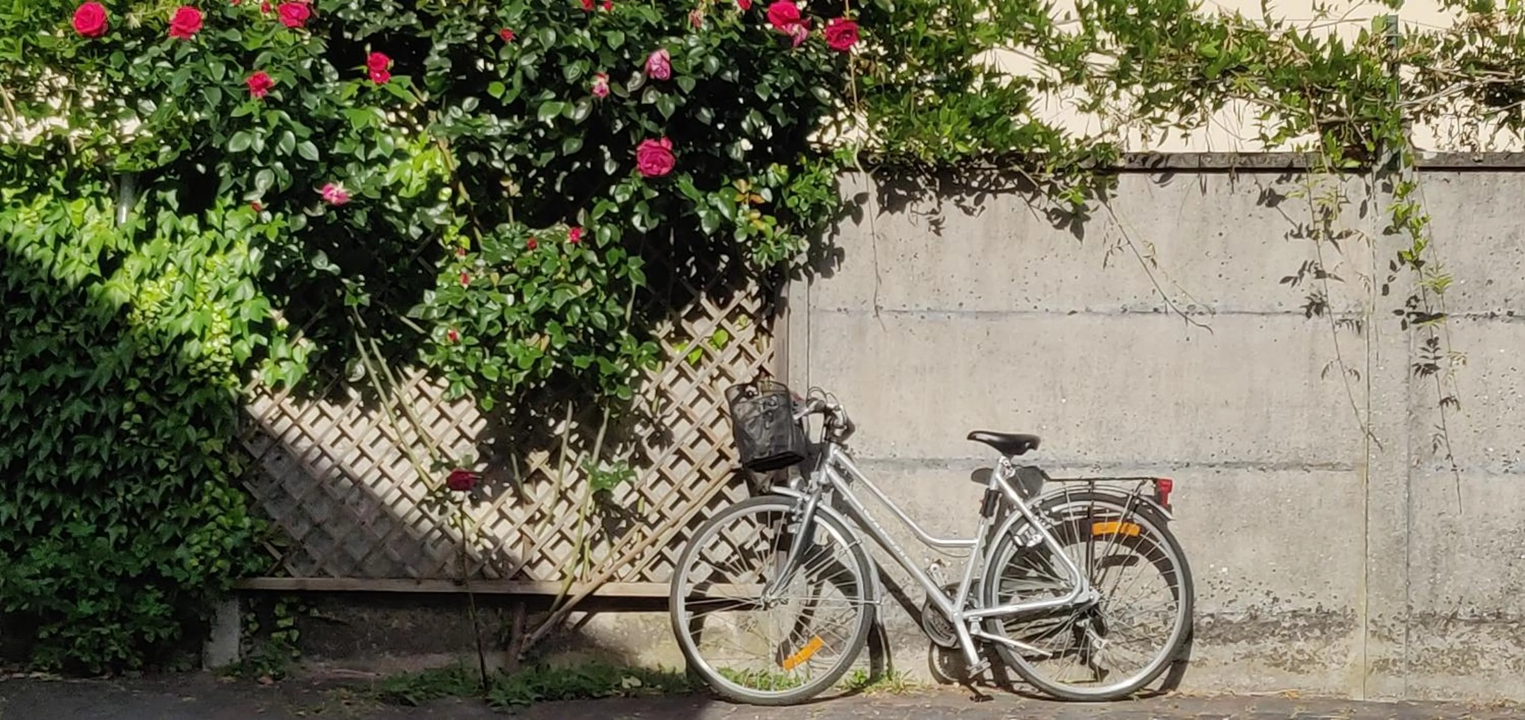 Cycling in L'Alisier Chantant