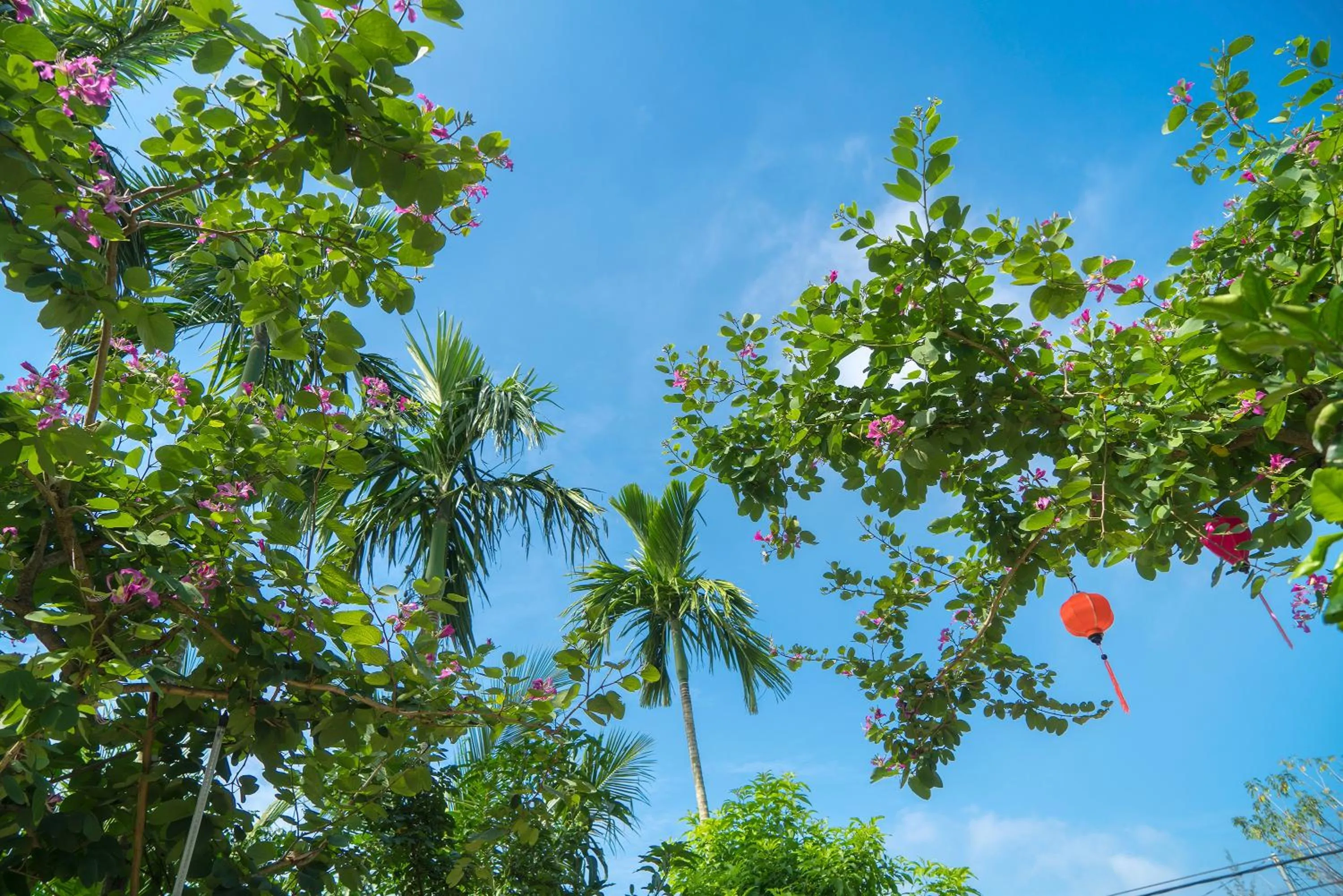 Decorative detail in Luna Villa