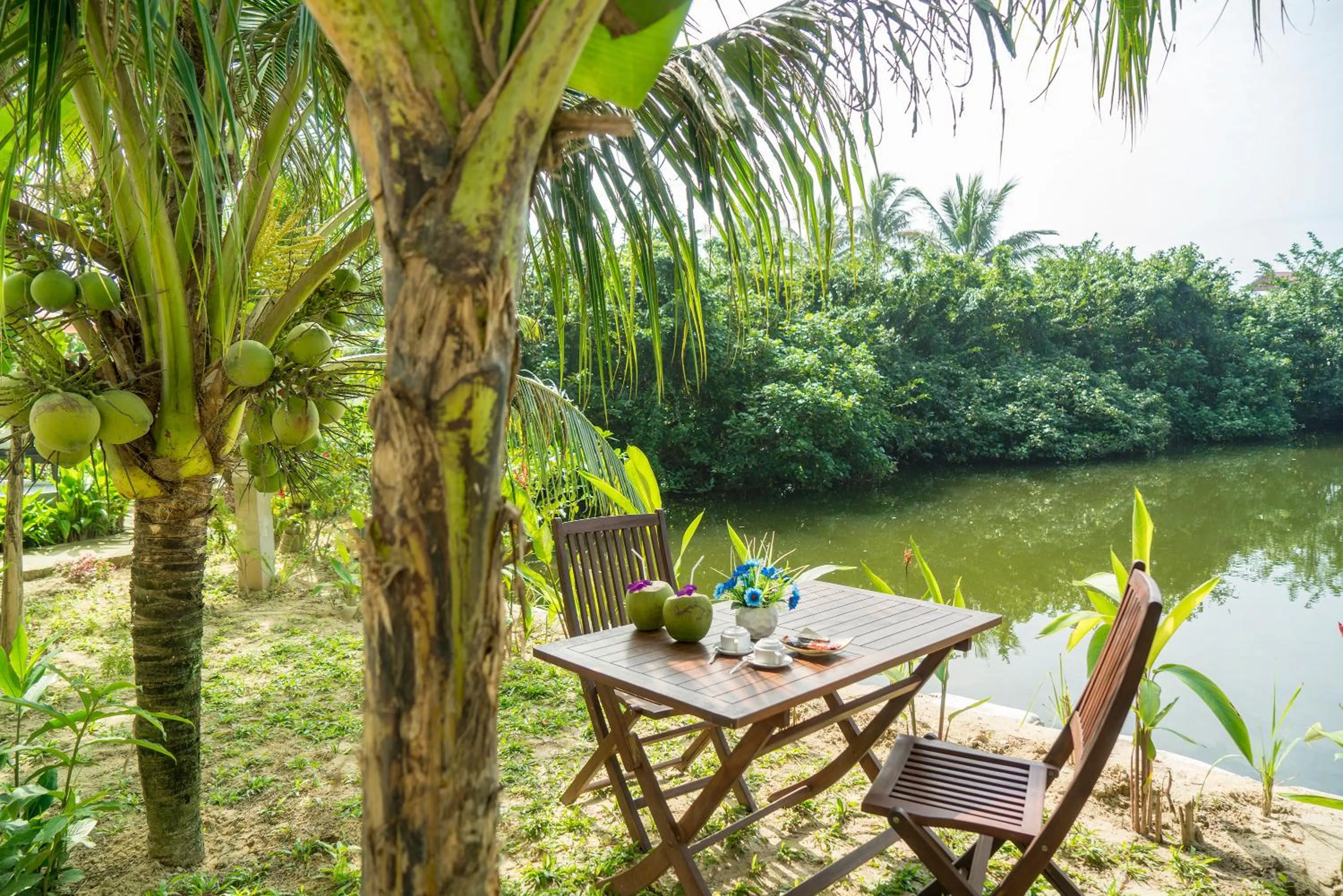 Garden in Luna Villa