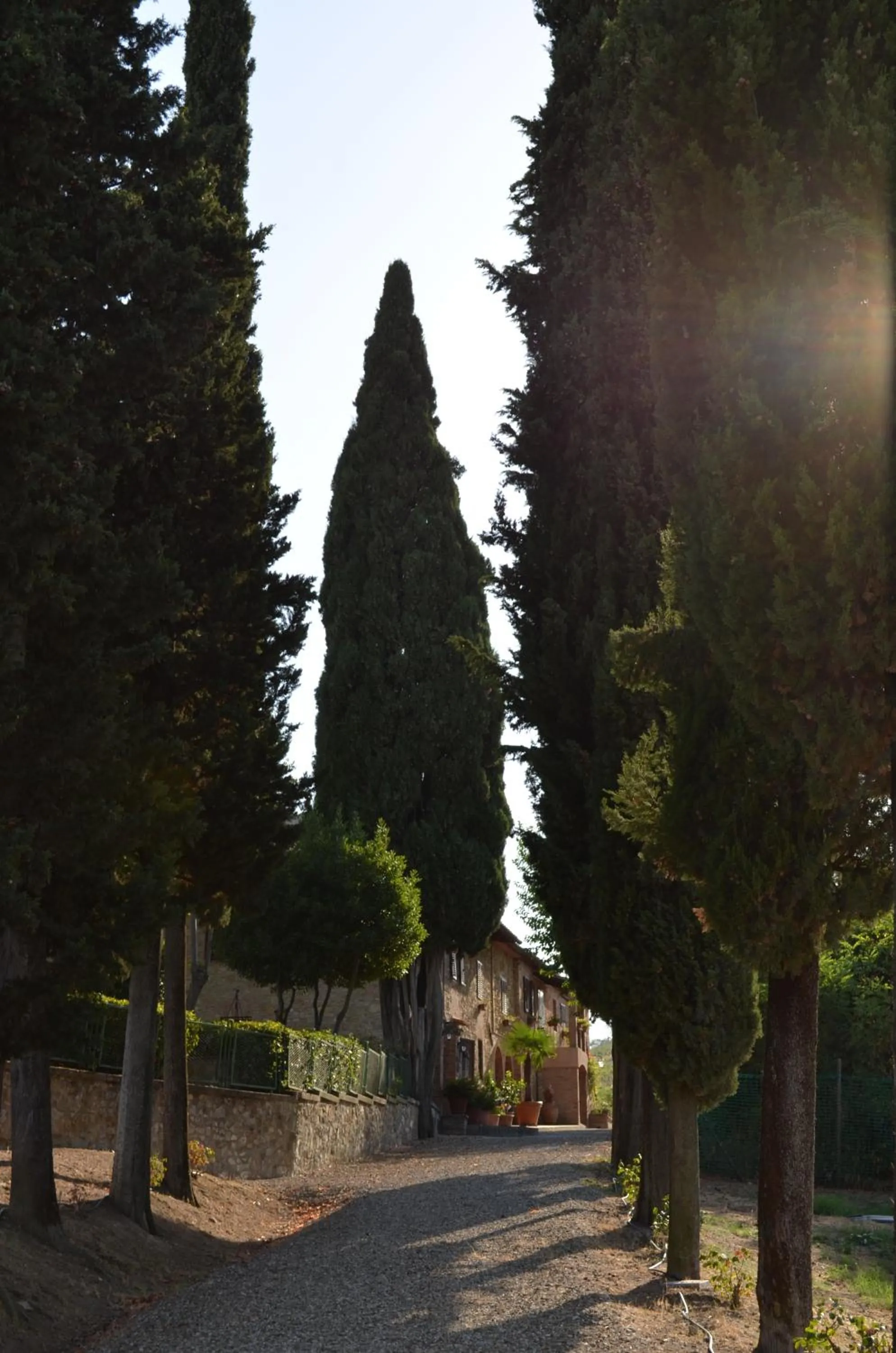 View (from property/room) in Il Casale Del Cotone