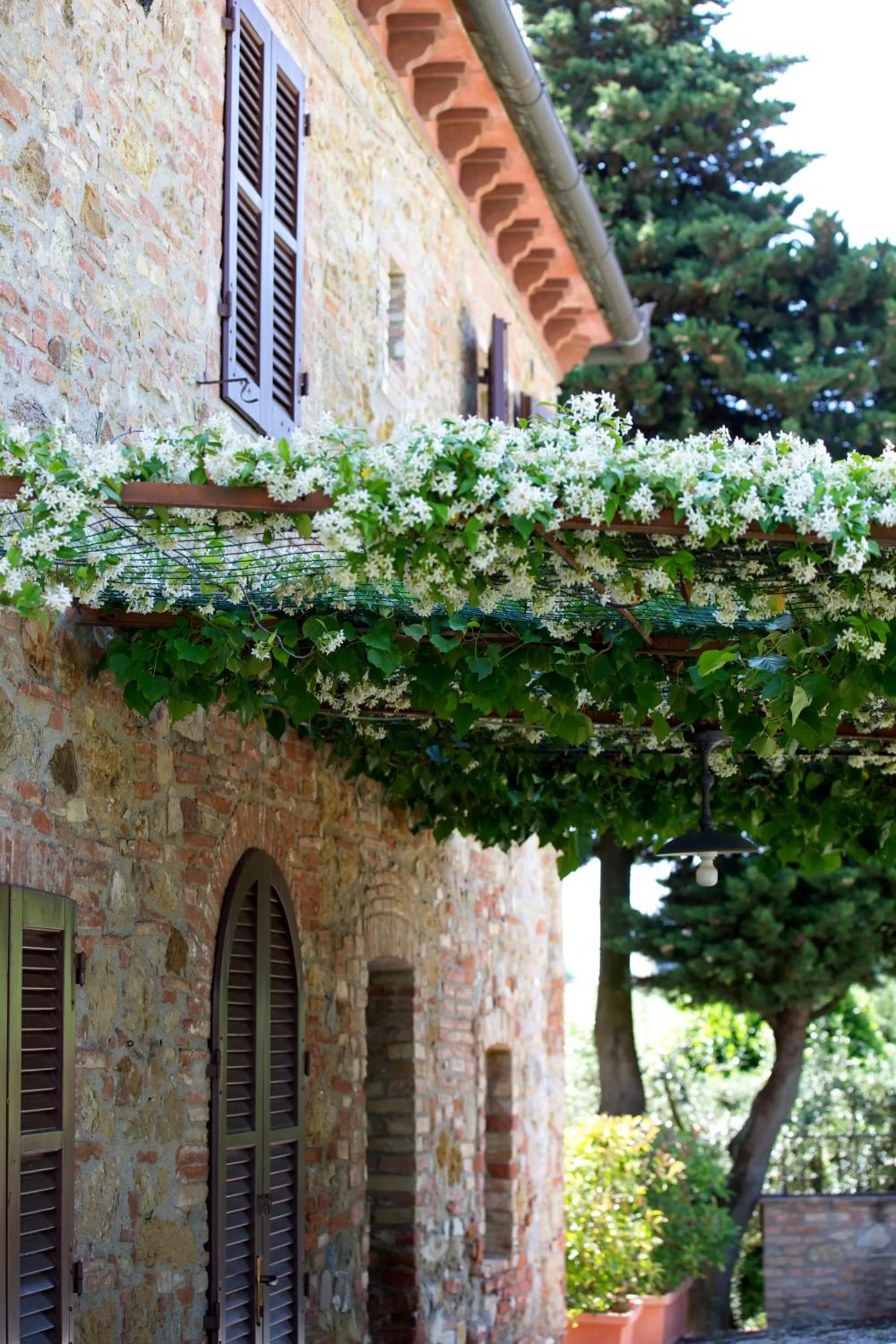 Il Casale Del Cotone