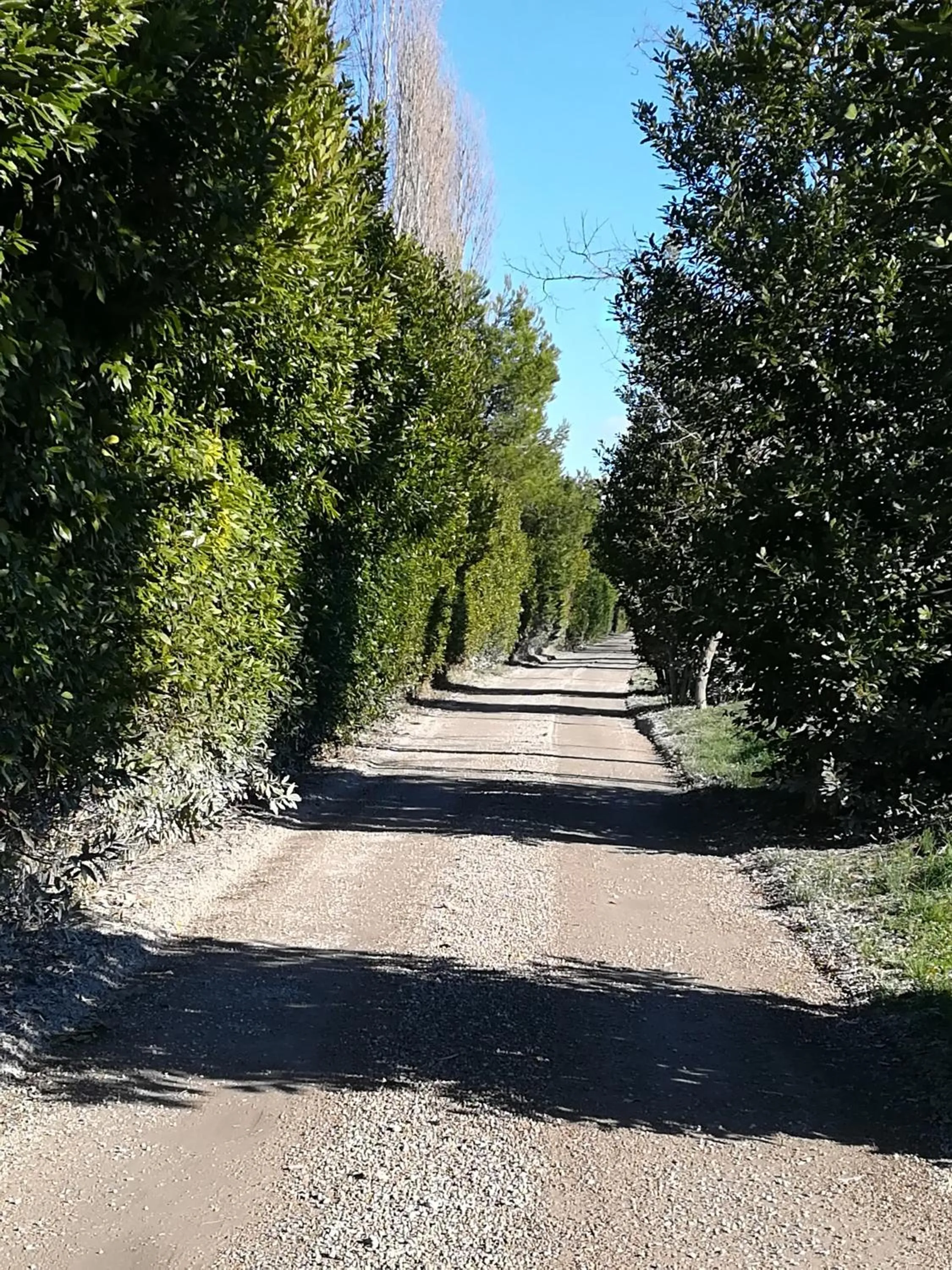 Cycling in Hotel Smeraldo