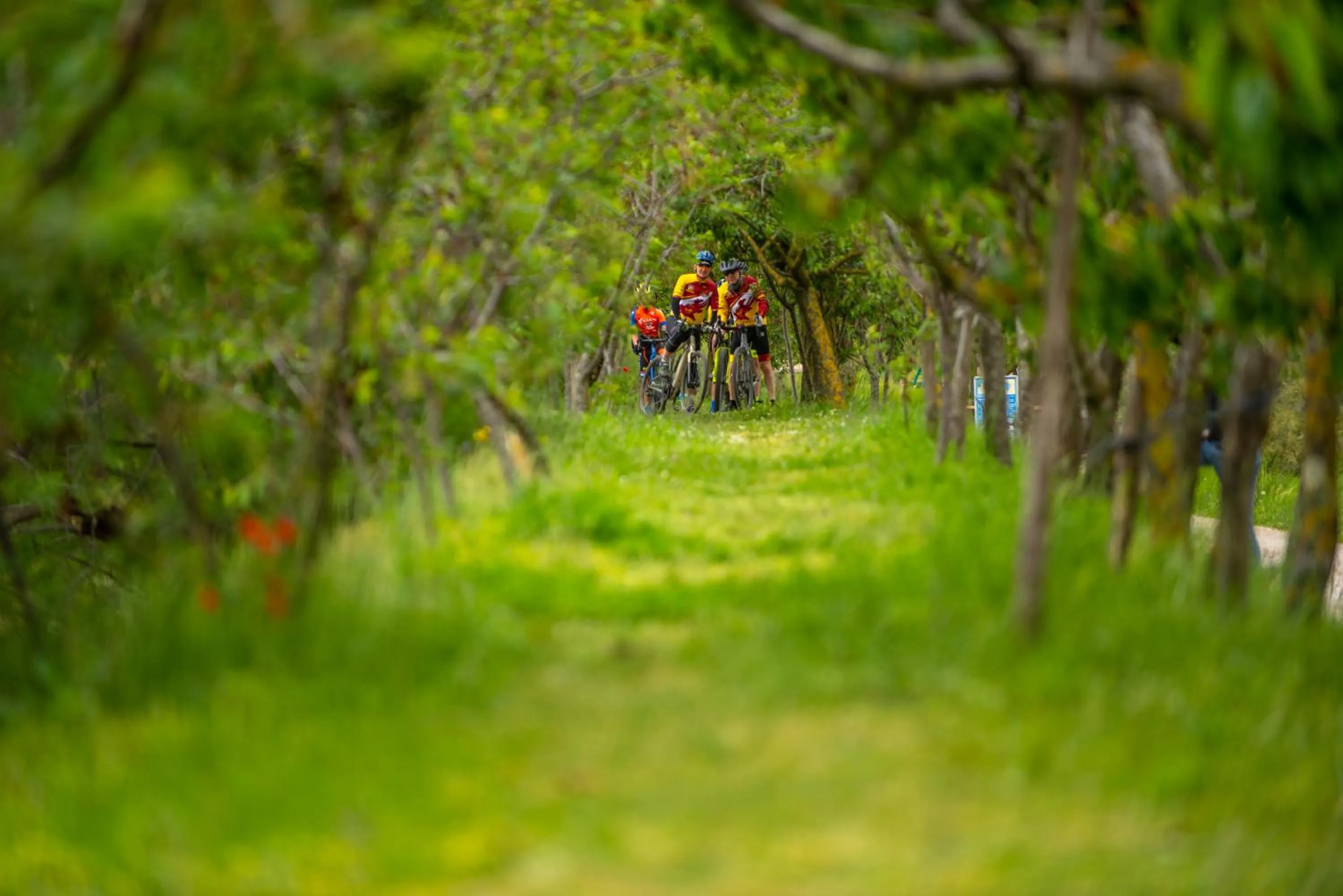 Cycling in Hotel Smeraldo
