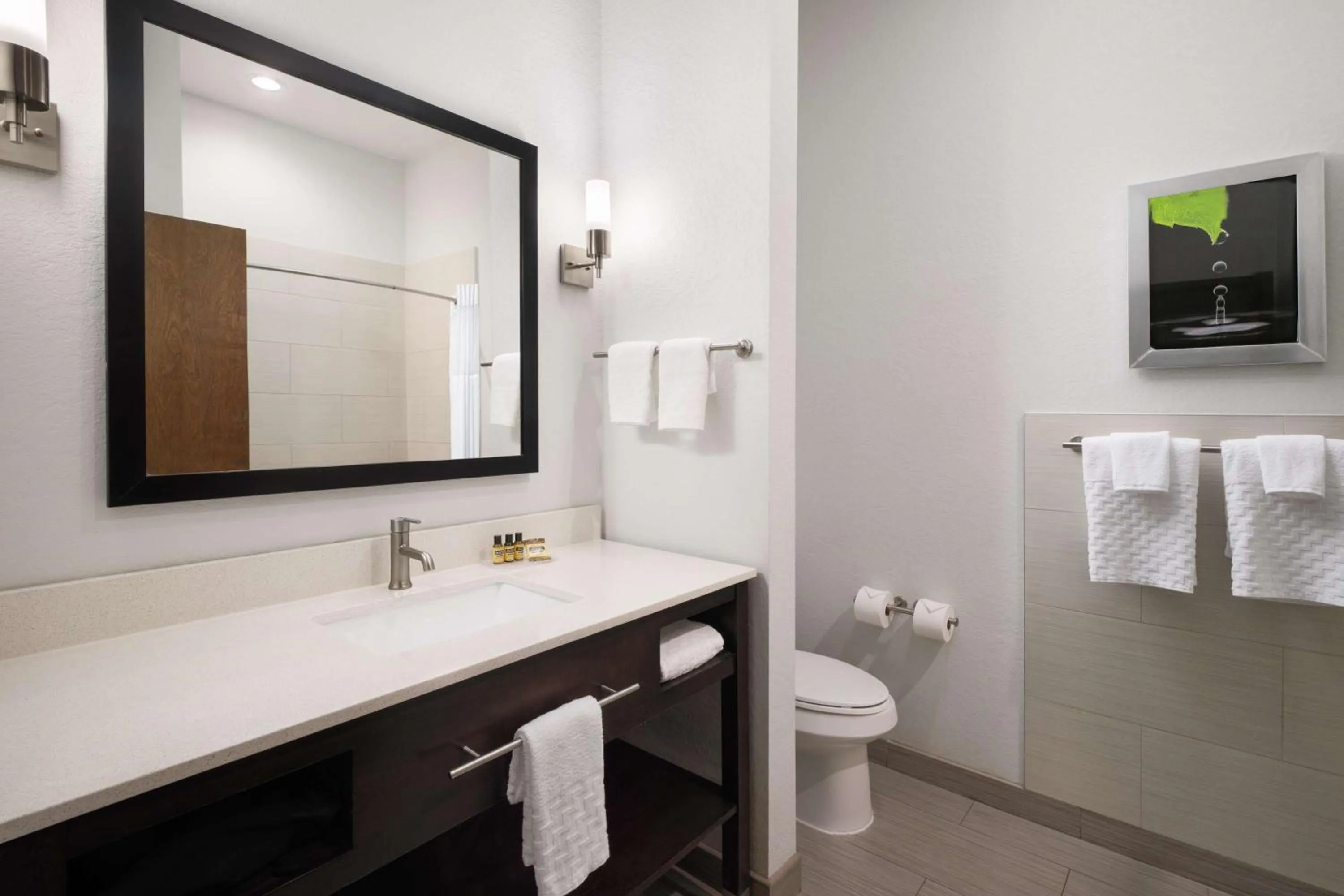 Bathroom in Best Western Plus College Station Inn & Suites