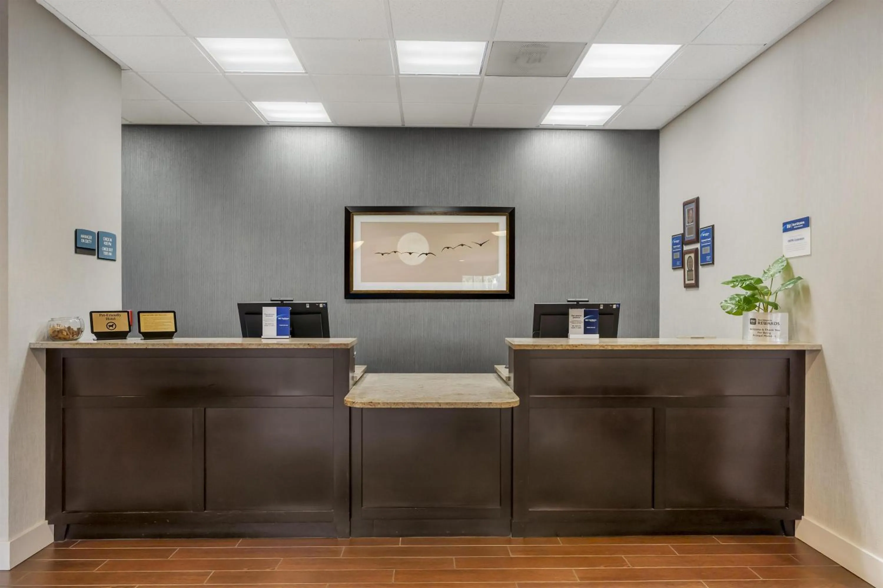 Lobby or reception in Best Western Plus Arlington/Marysville