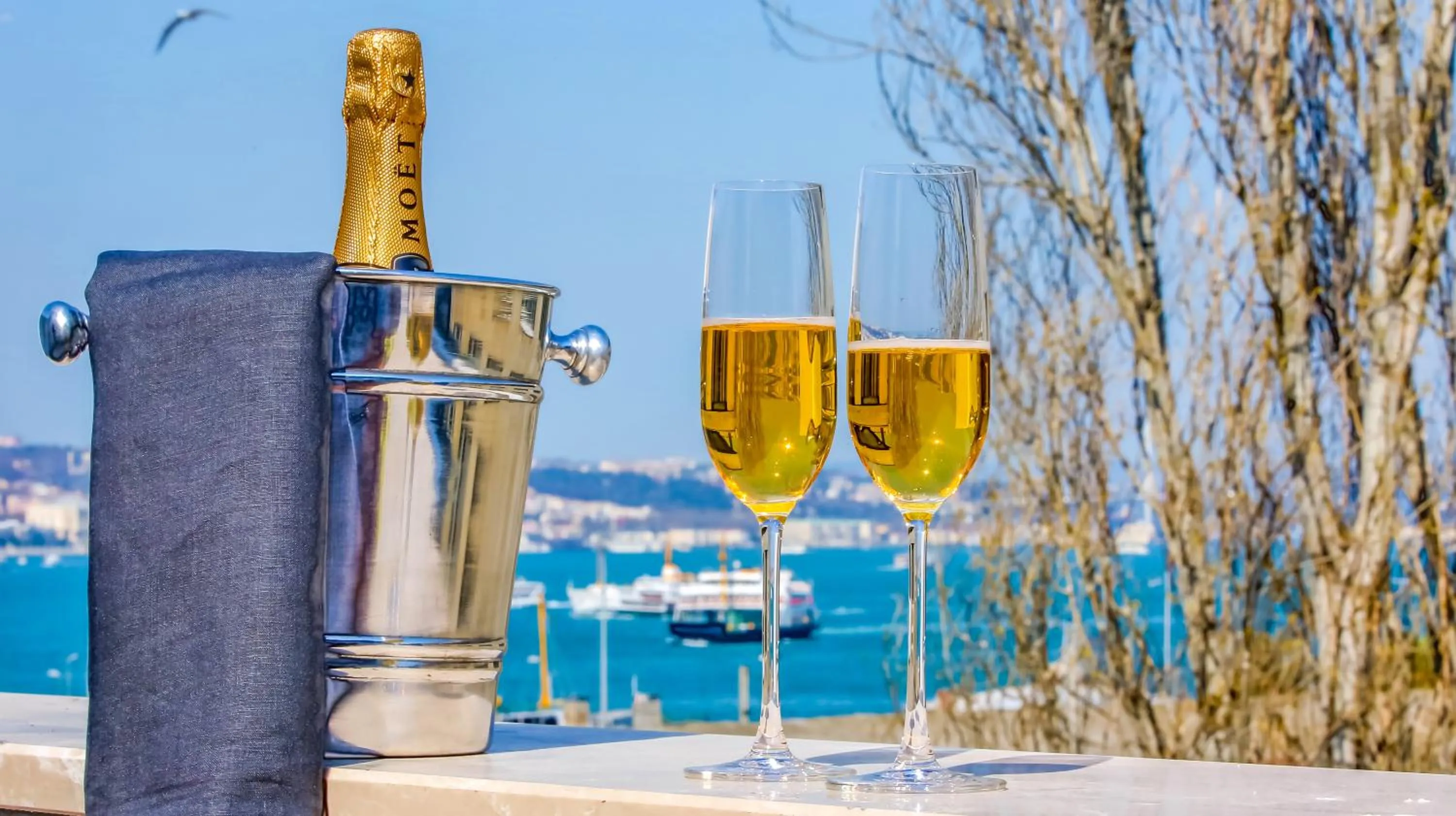 Balcony/Terrace in Barbera Hotel