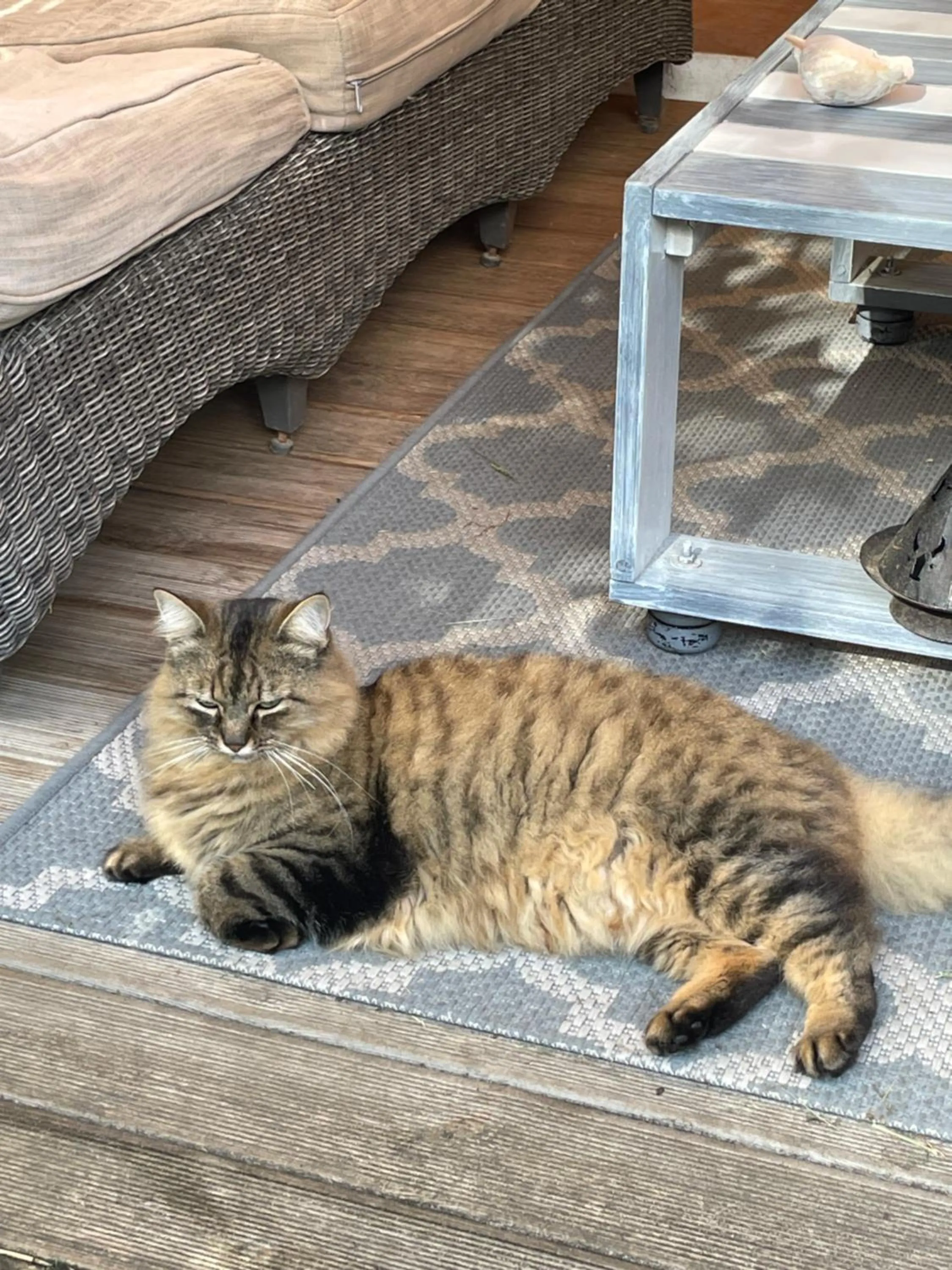 Patio in La Chambre Du Voyageur