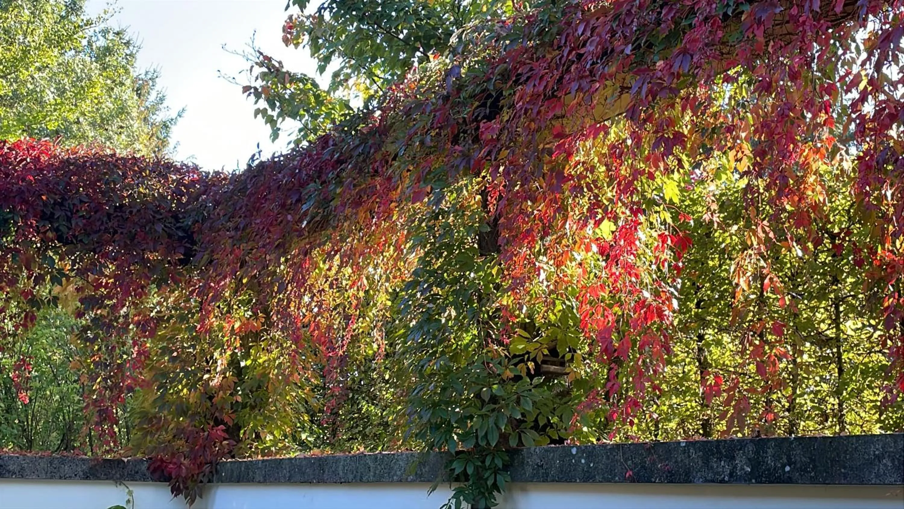 Autumn in Room Art Lovers