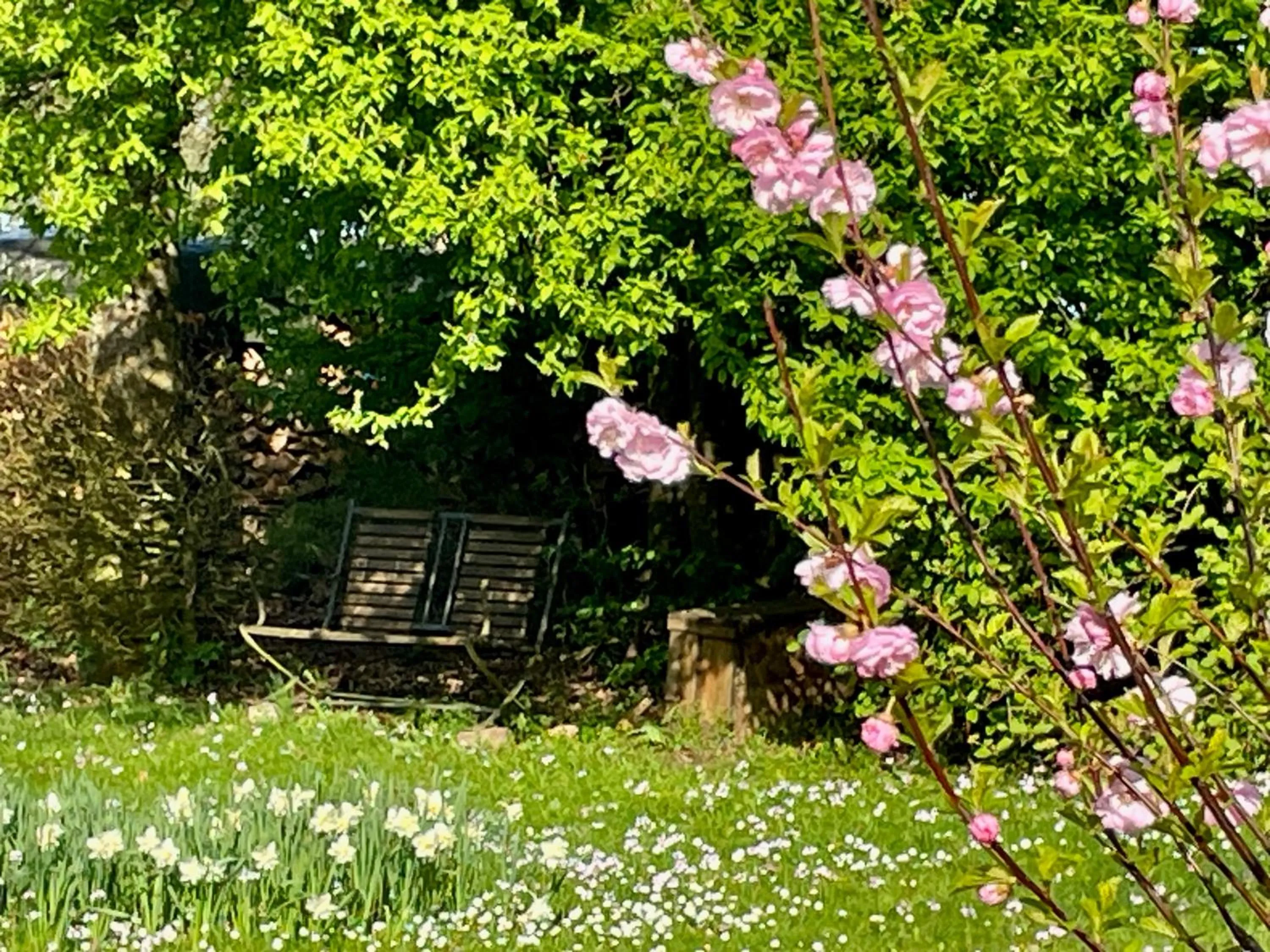 Garden view in Room Art Lovers