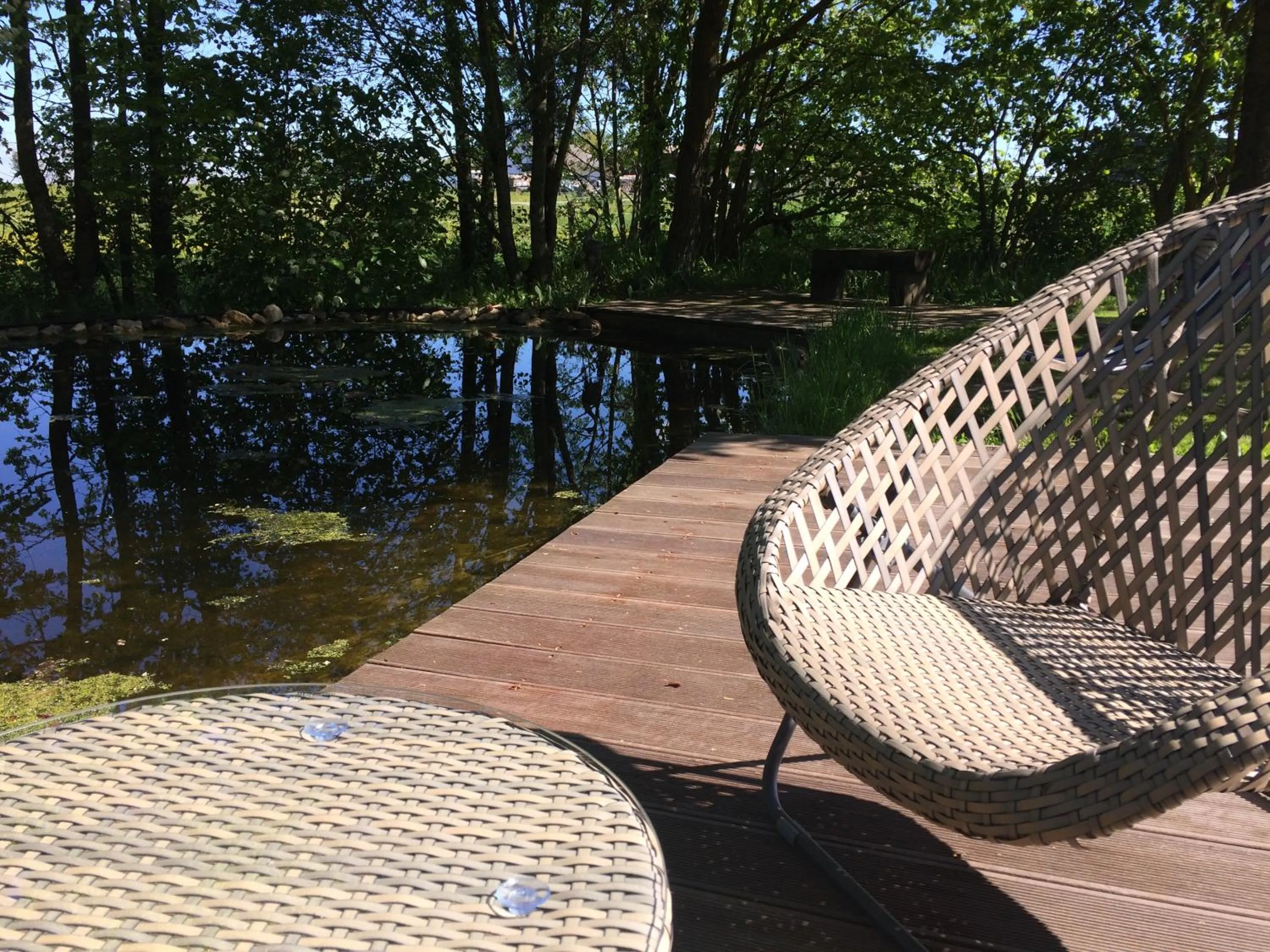 Garden in Room Art Lovers