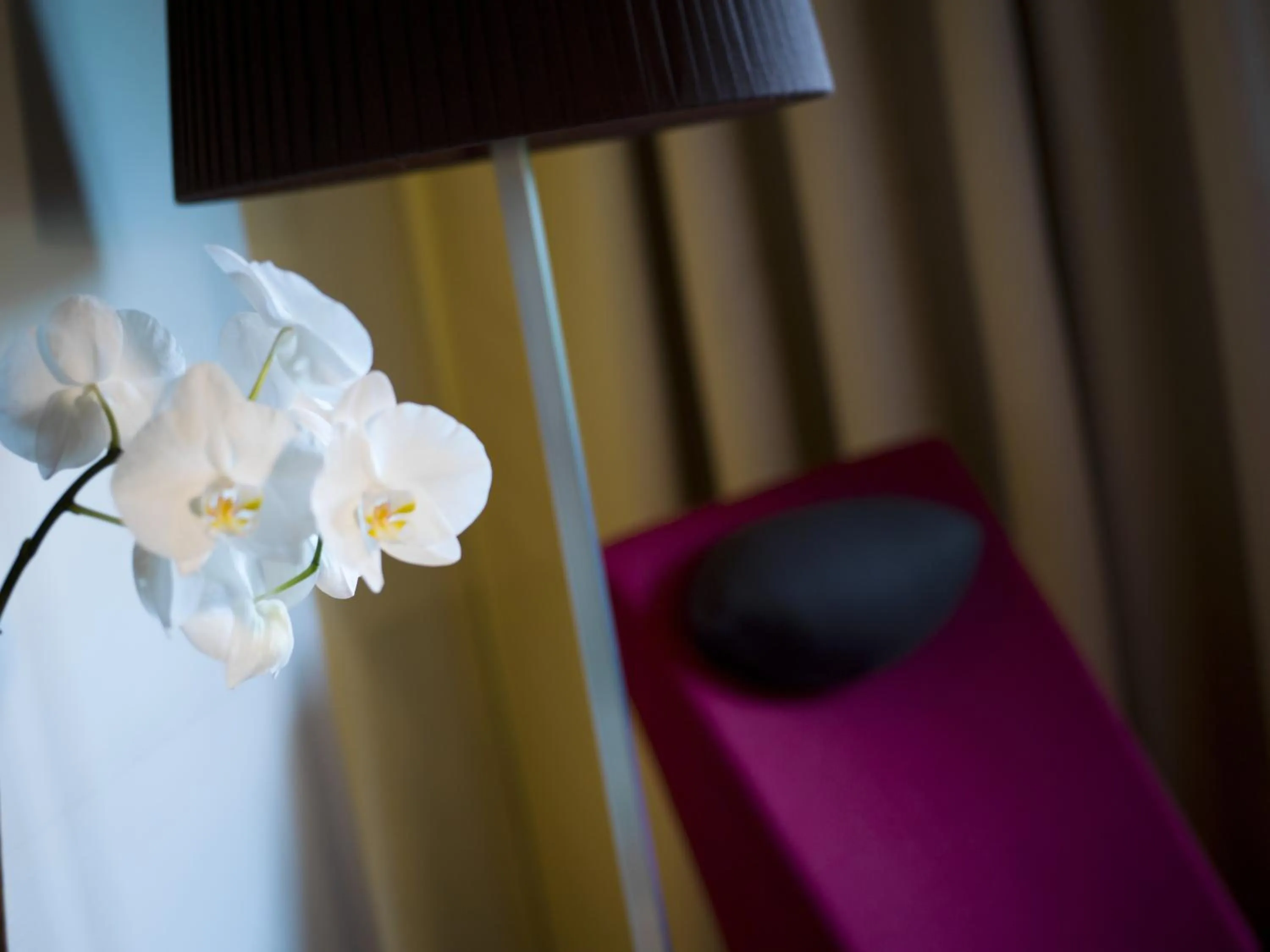 Photo of the whole room in Der Birkenhof Spa & Genuss Resort