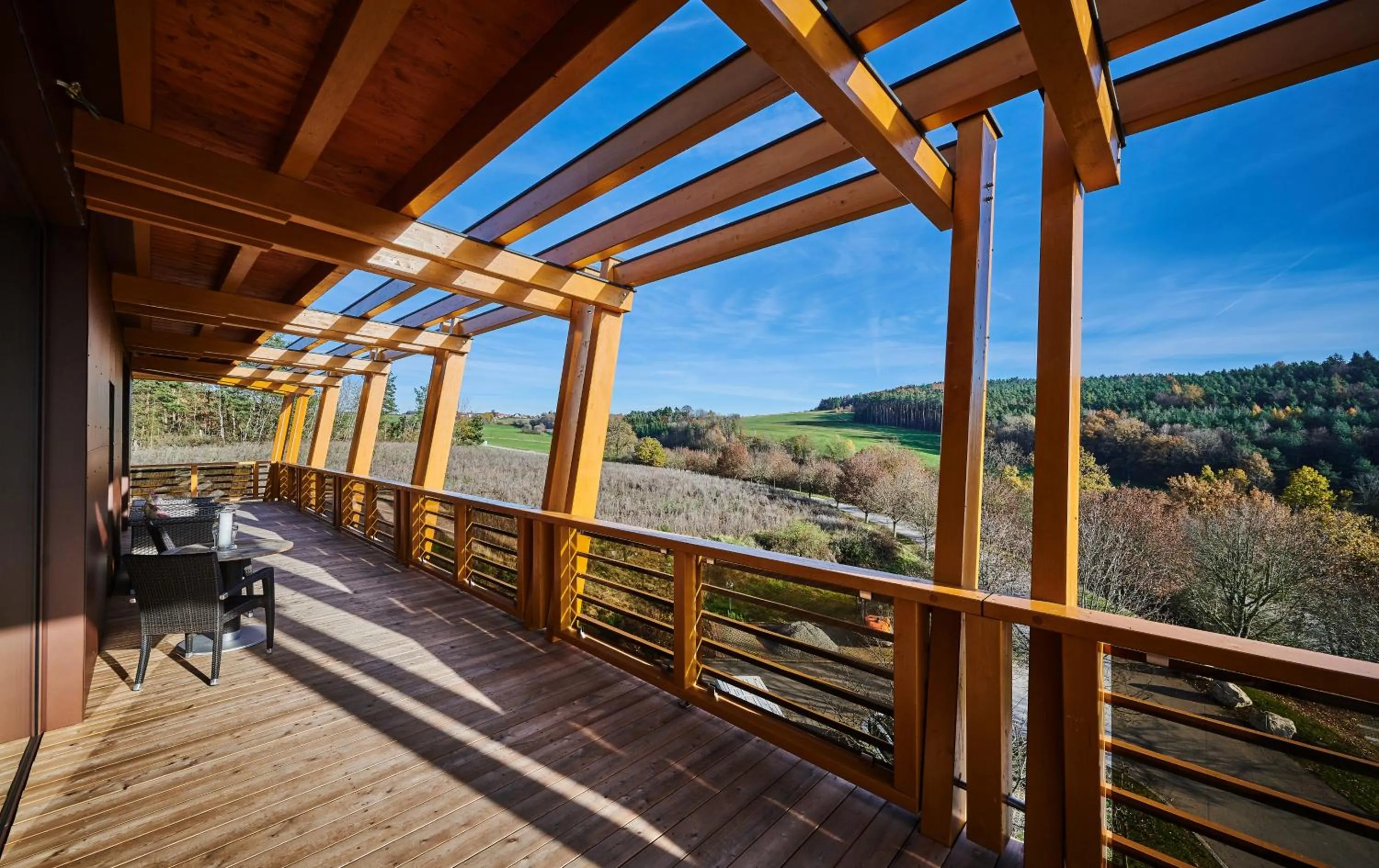 Balcony/Terrace in Der Birkenhof Spa & Genuss Resort