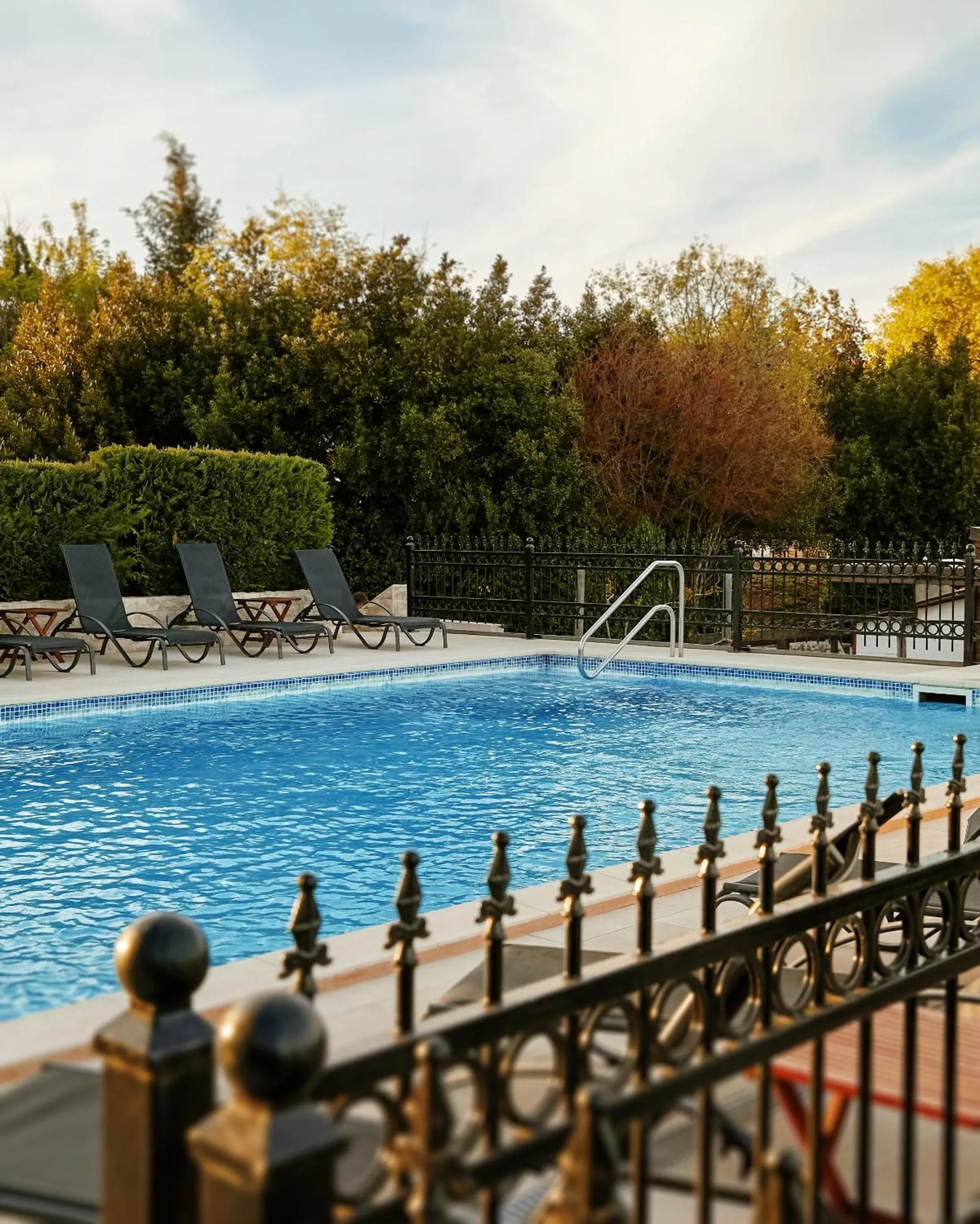 Swimming pool in Vile Dalmacija
