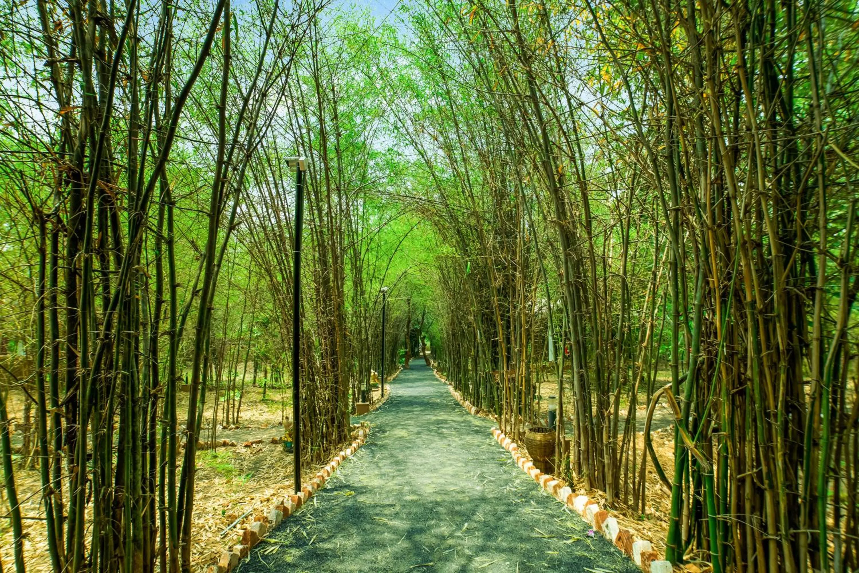 Lemon Tree Wildlife Resort, Bandhavgarh