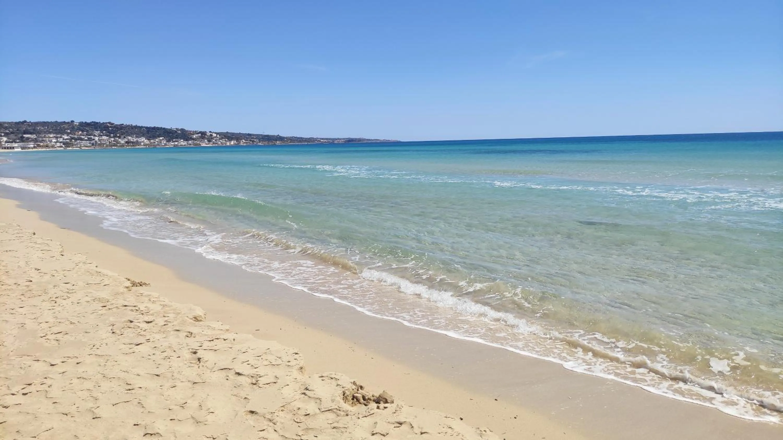 Beach in Picchio Hotel Pescoluse
