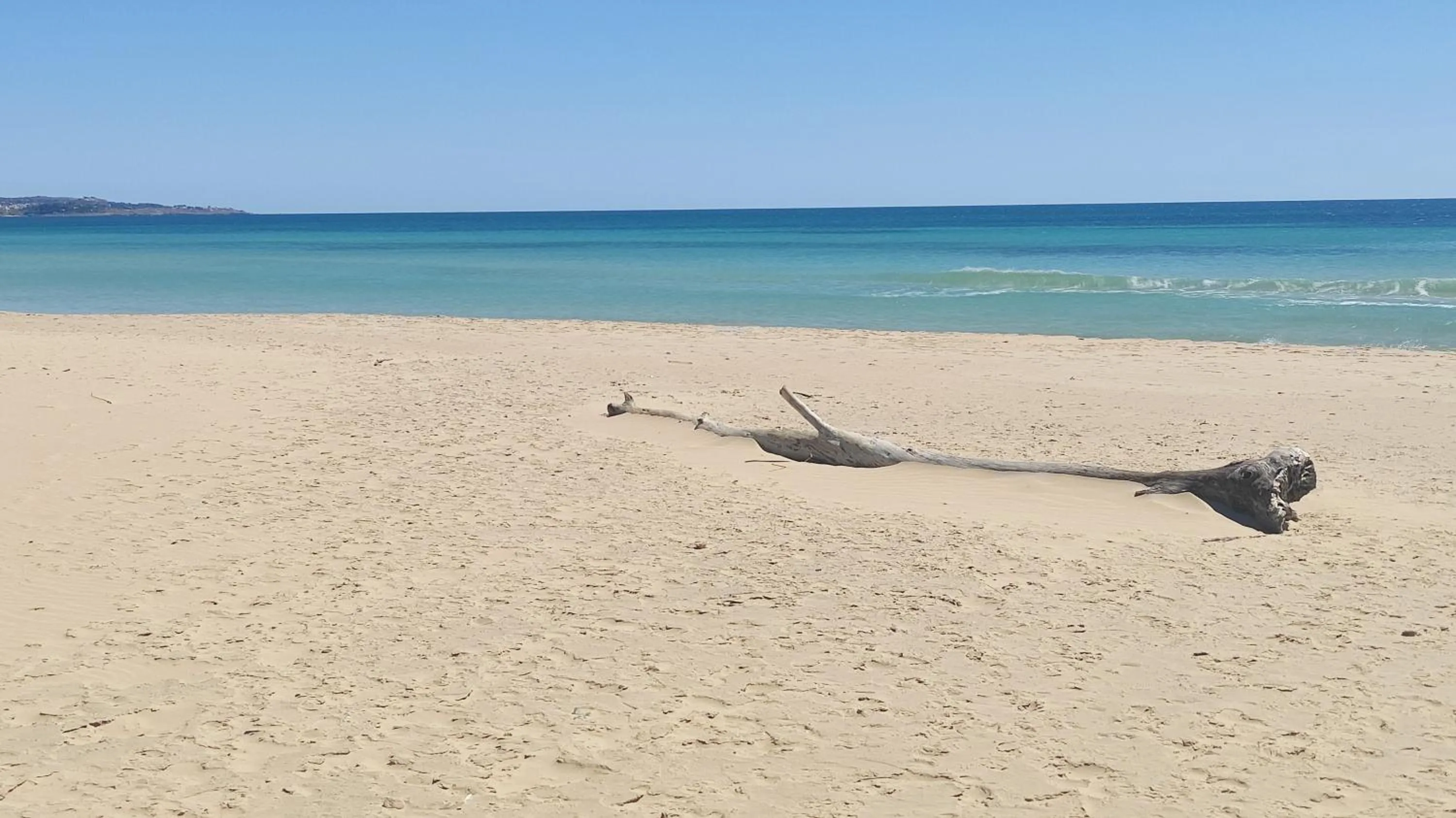 Beach in Picchio Hotel Pescoluse