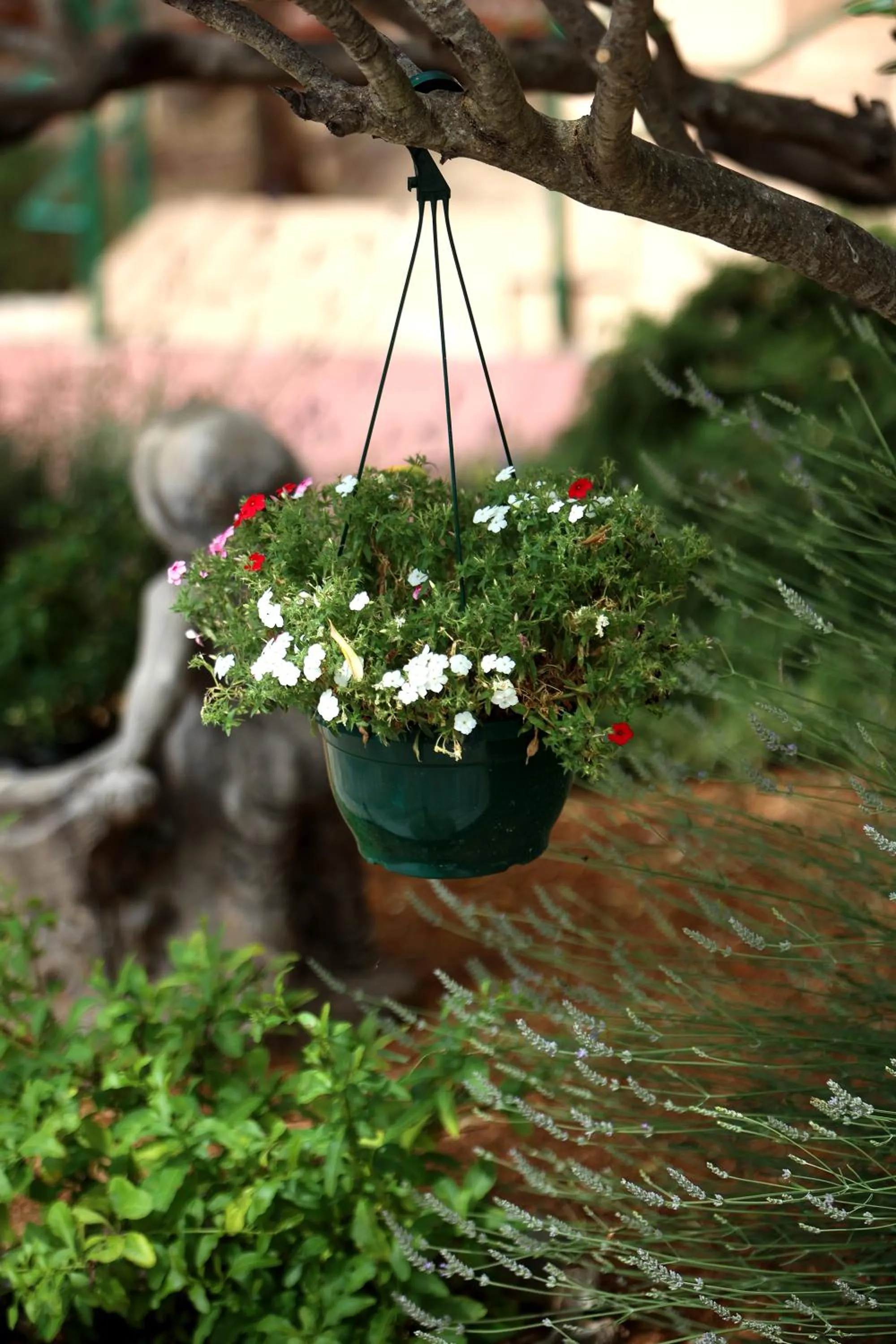 Natural landscape in Hotel Murter