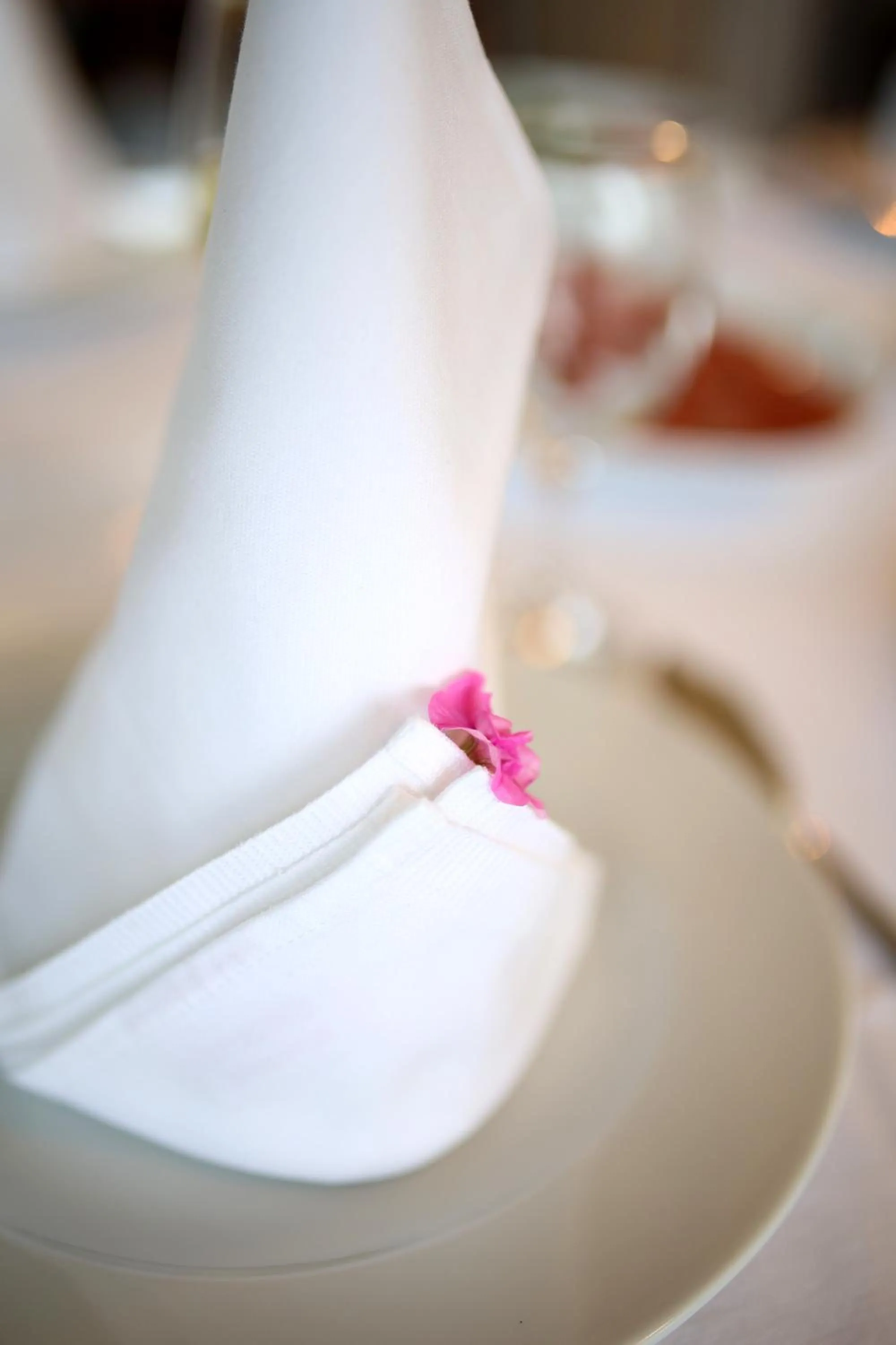 Restaurant/places to eat in Hotel Murter