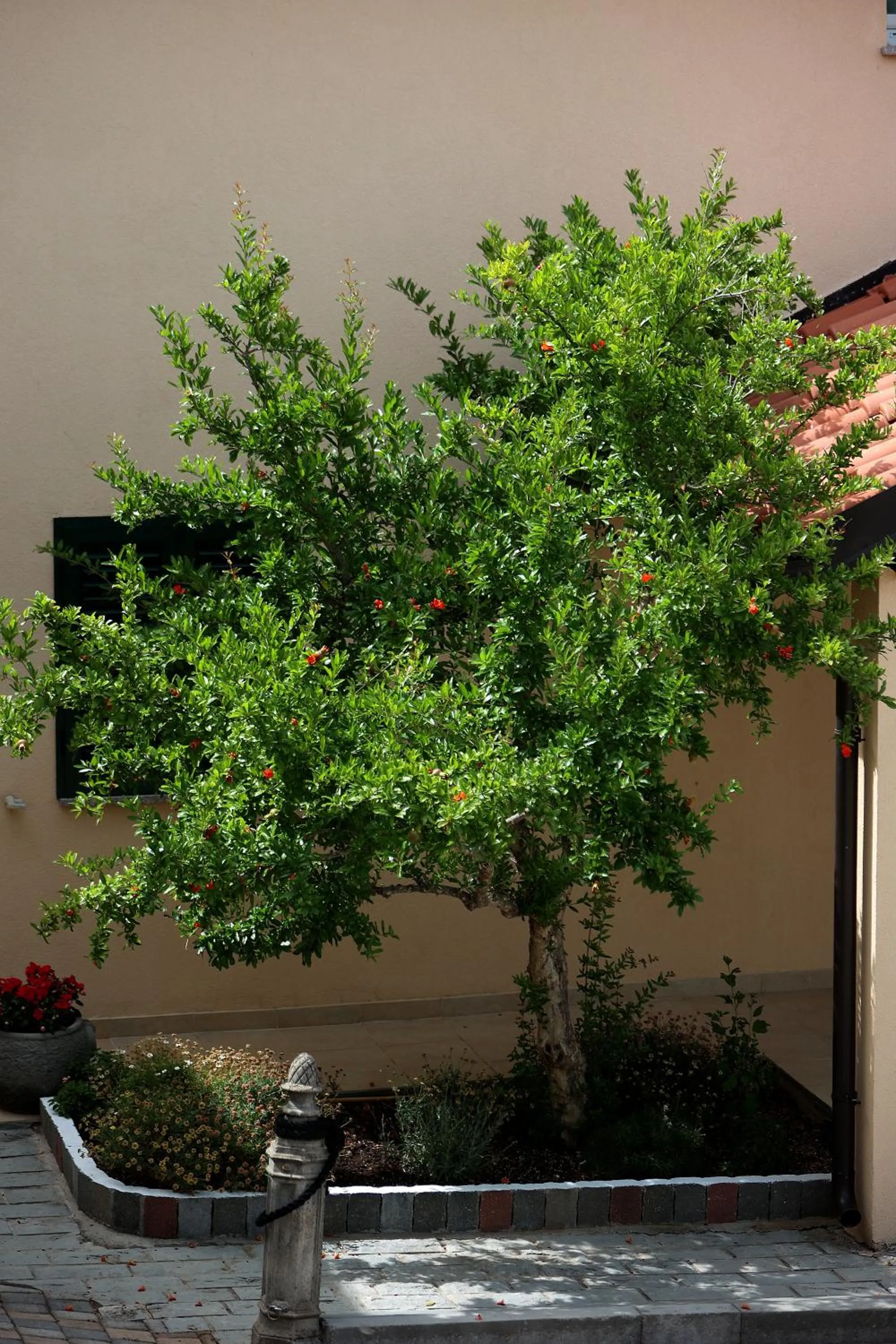 Natural landscape in Hotel Murter