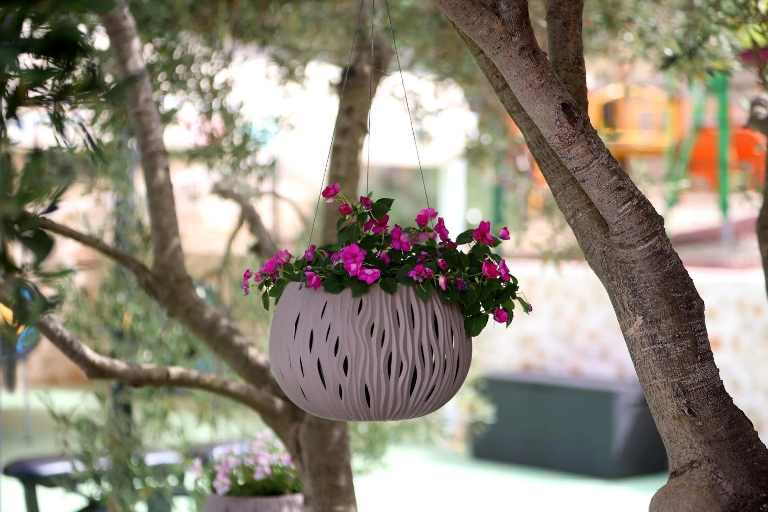 Natural landscape in Hotel Murter