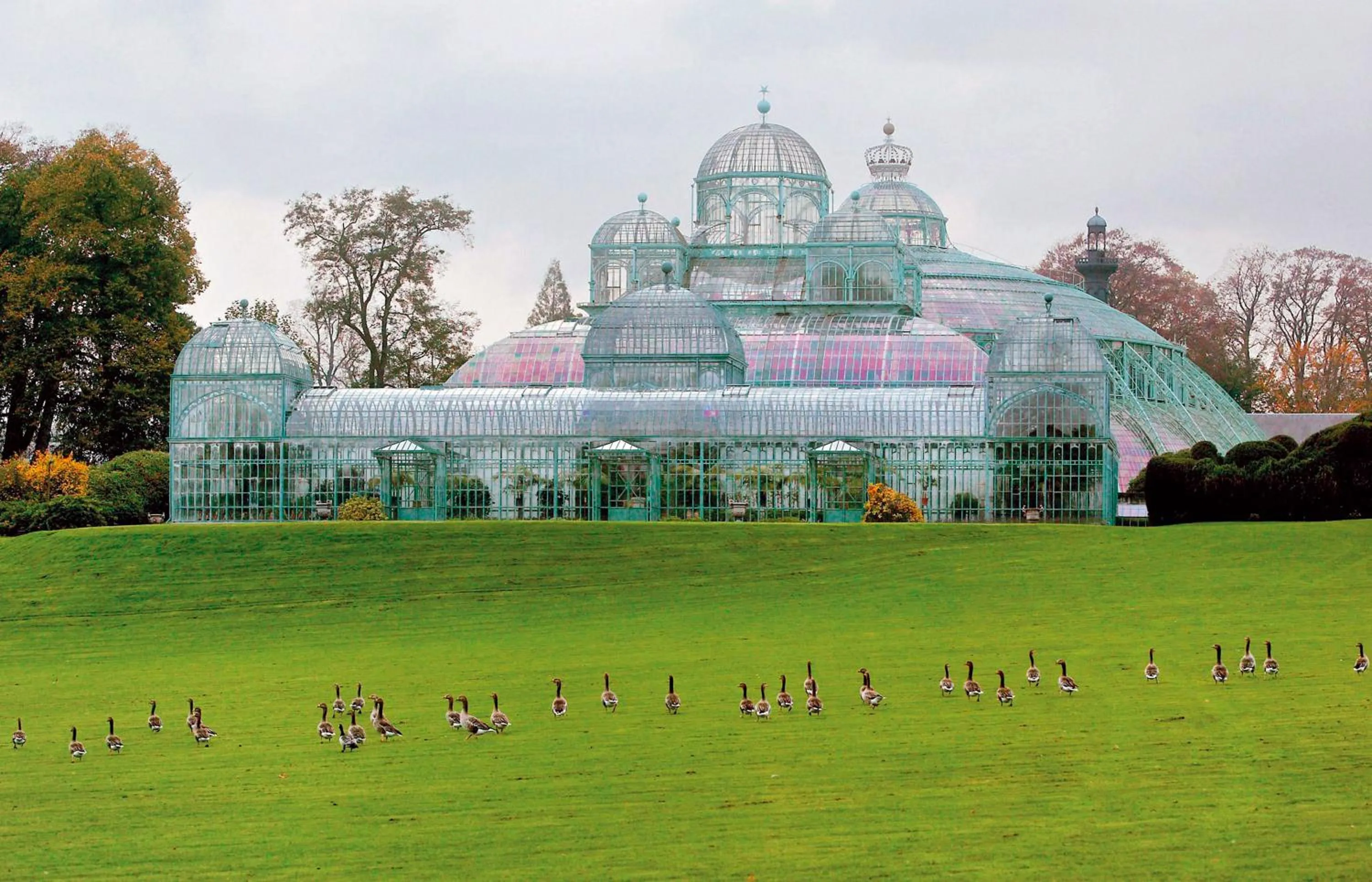 Garden in Hilton Garden Inn Brussels Airport