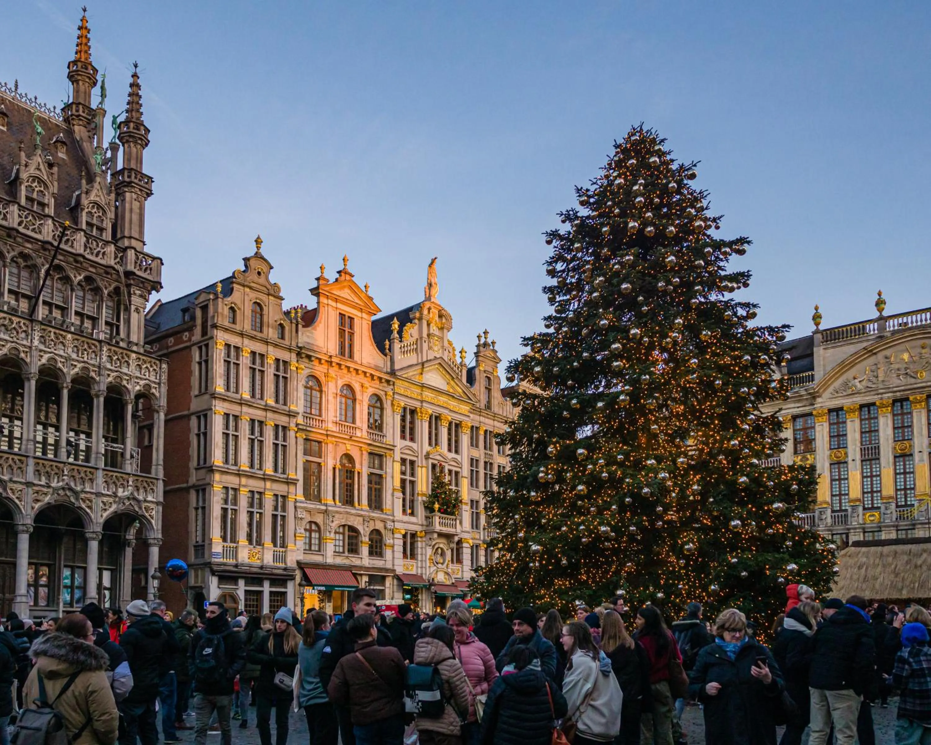 Natural landscape in Hilton Garden Inn Brussels Airport
