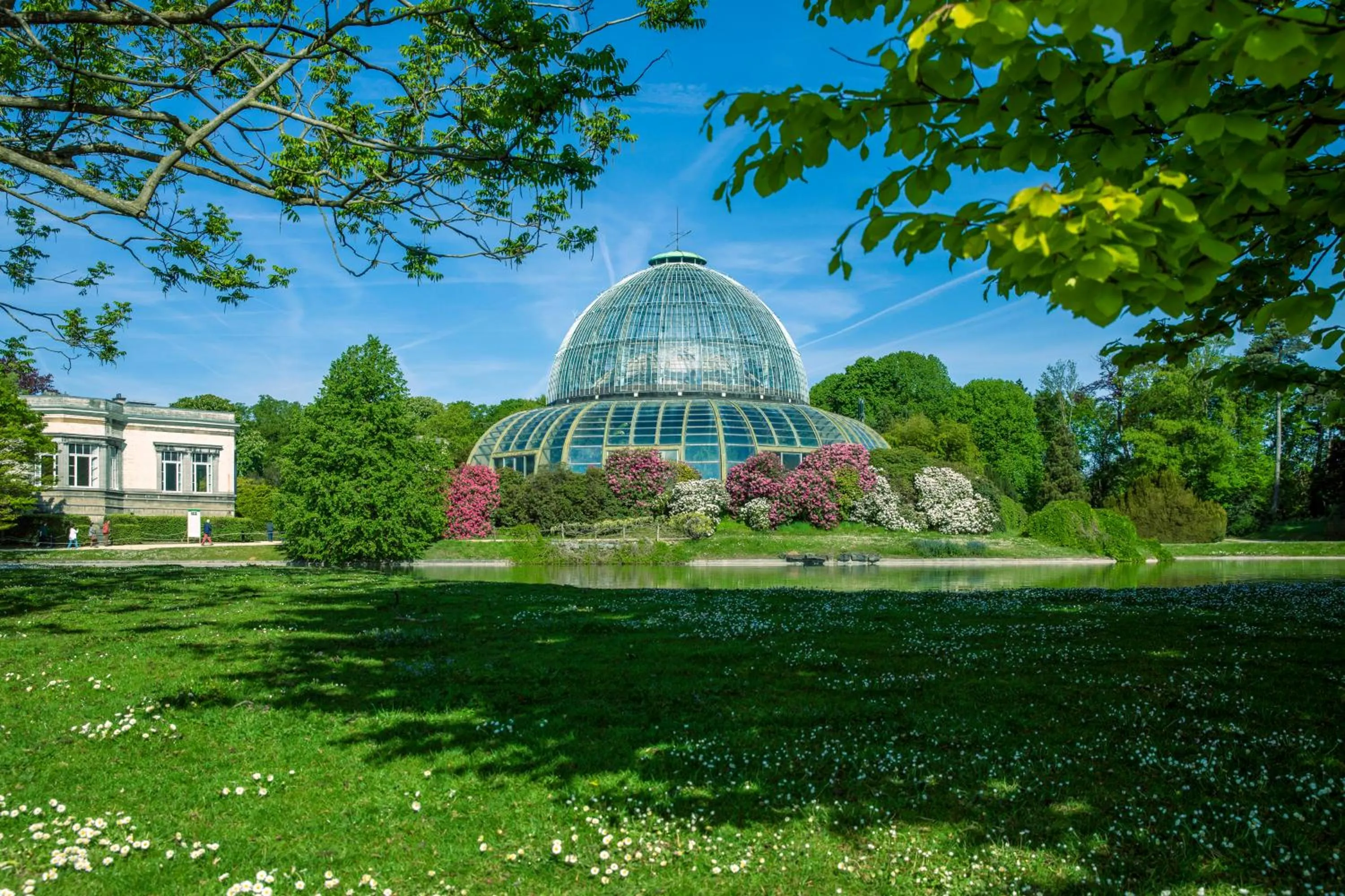 Spring in Hilton Garden Inn Brussels Airport