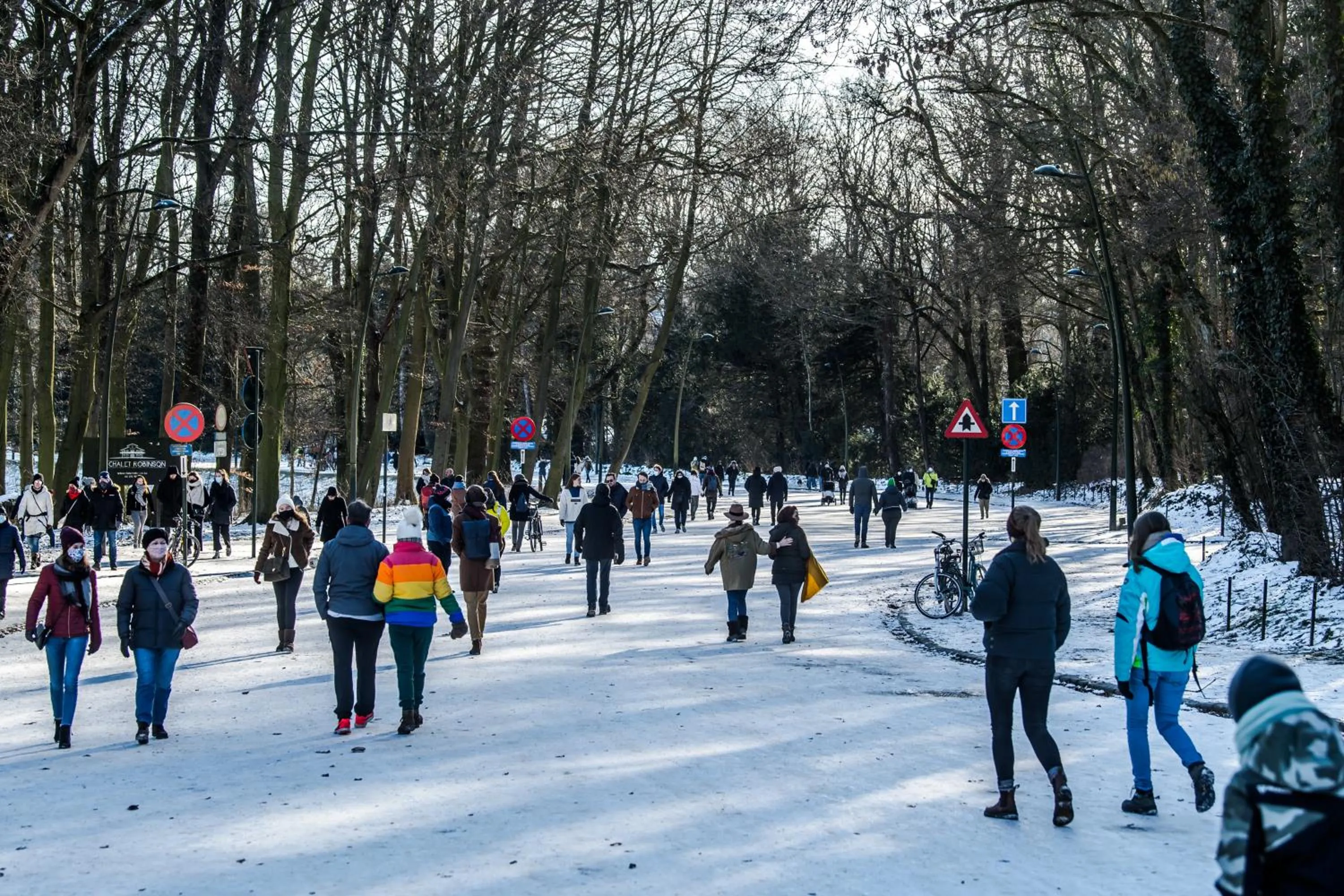 Natural landscape in Hilton Garden Inn Brussels Airport