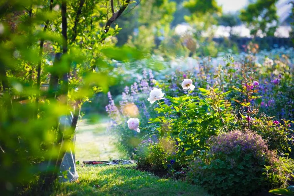 Yufuin Hotel Mori-no-Terrace