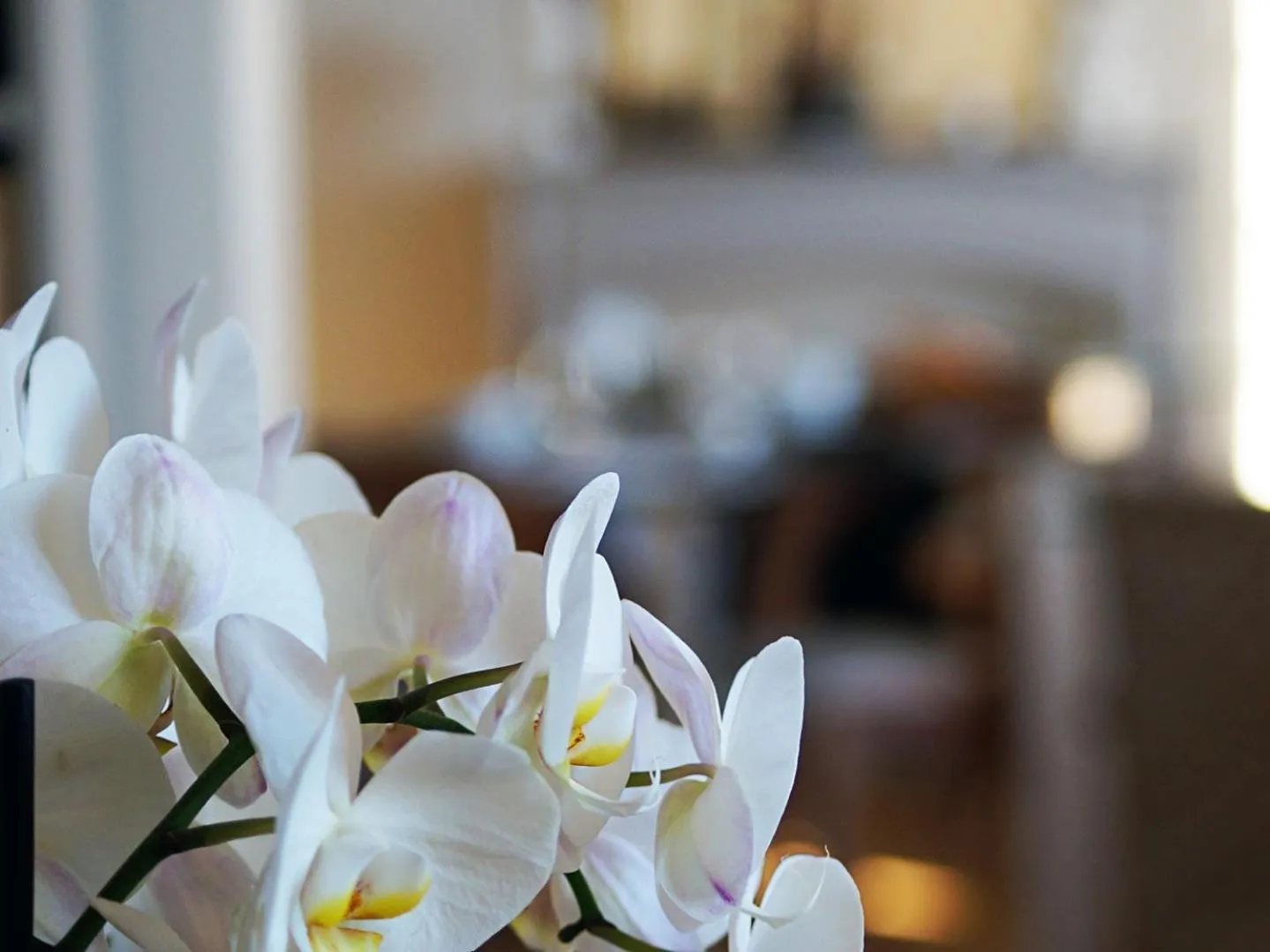 Other, Bed in La Salamandre