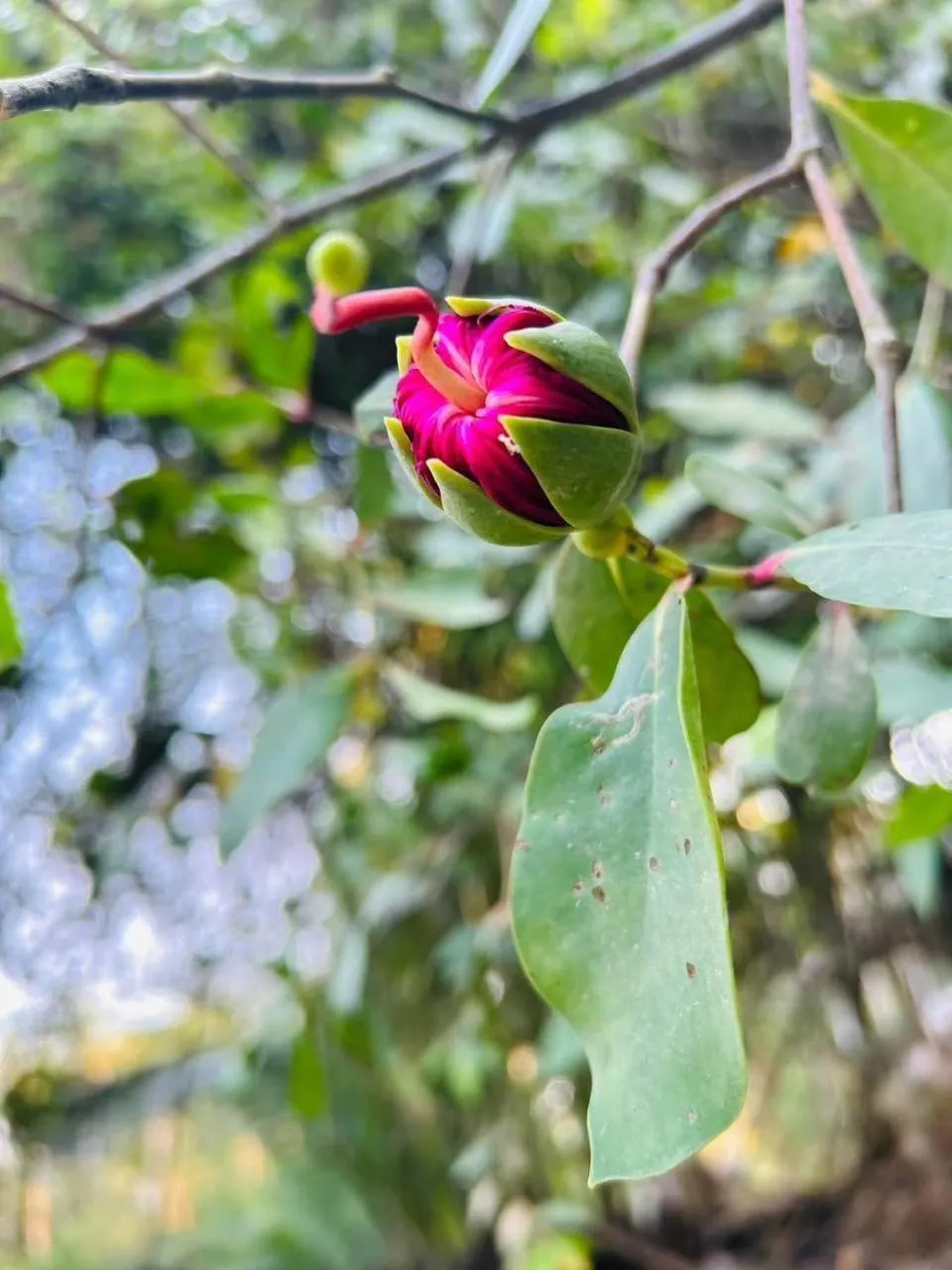 Natural landscape in Baan Nai Bang