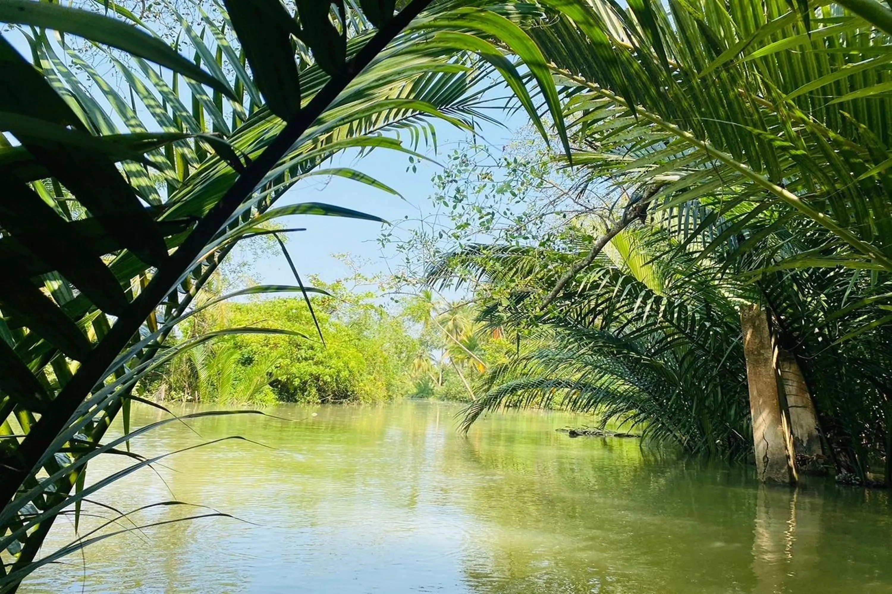 Natural landscape in Baan Nai Bang