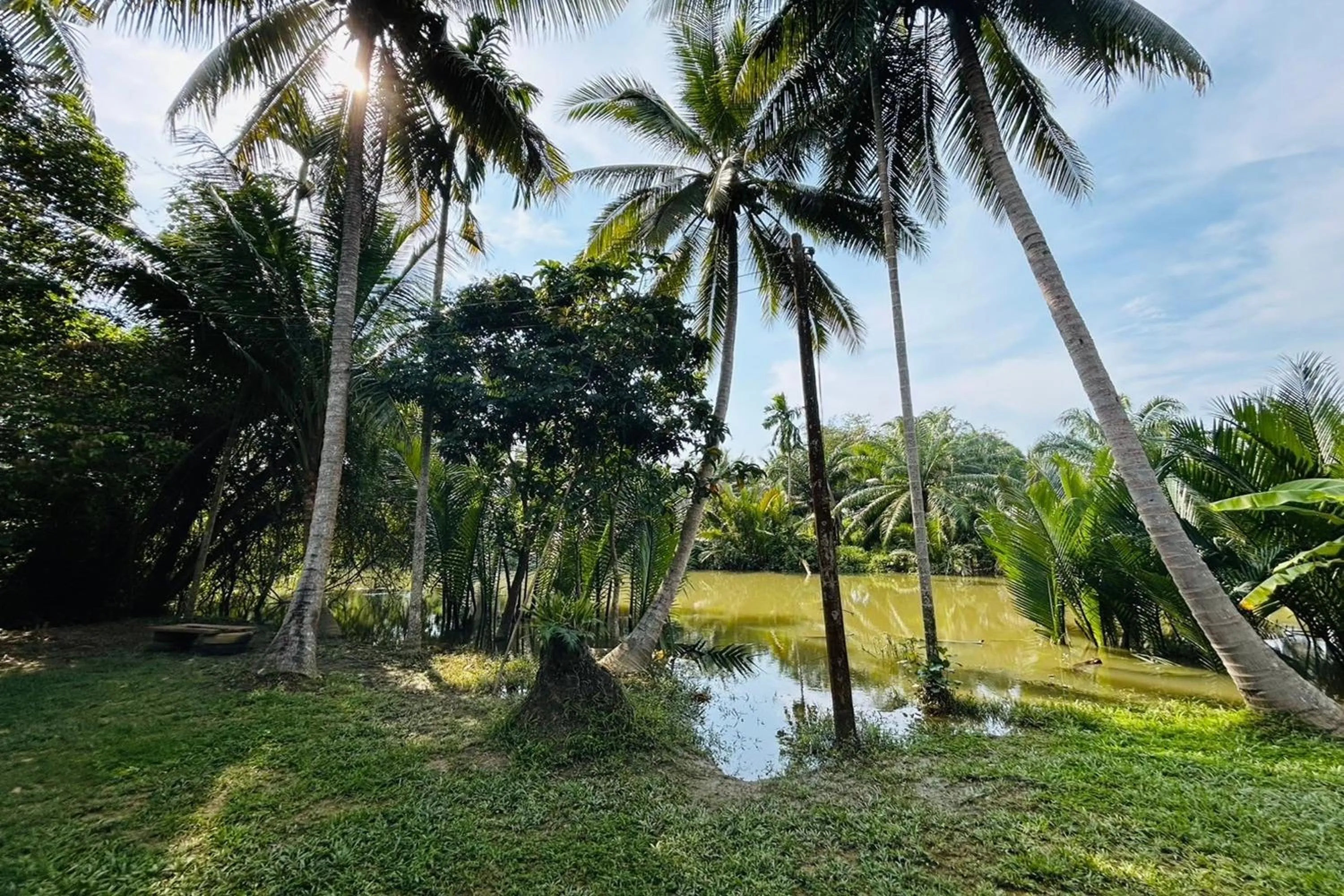 Natural landscape in Baan Nai Bang