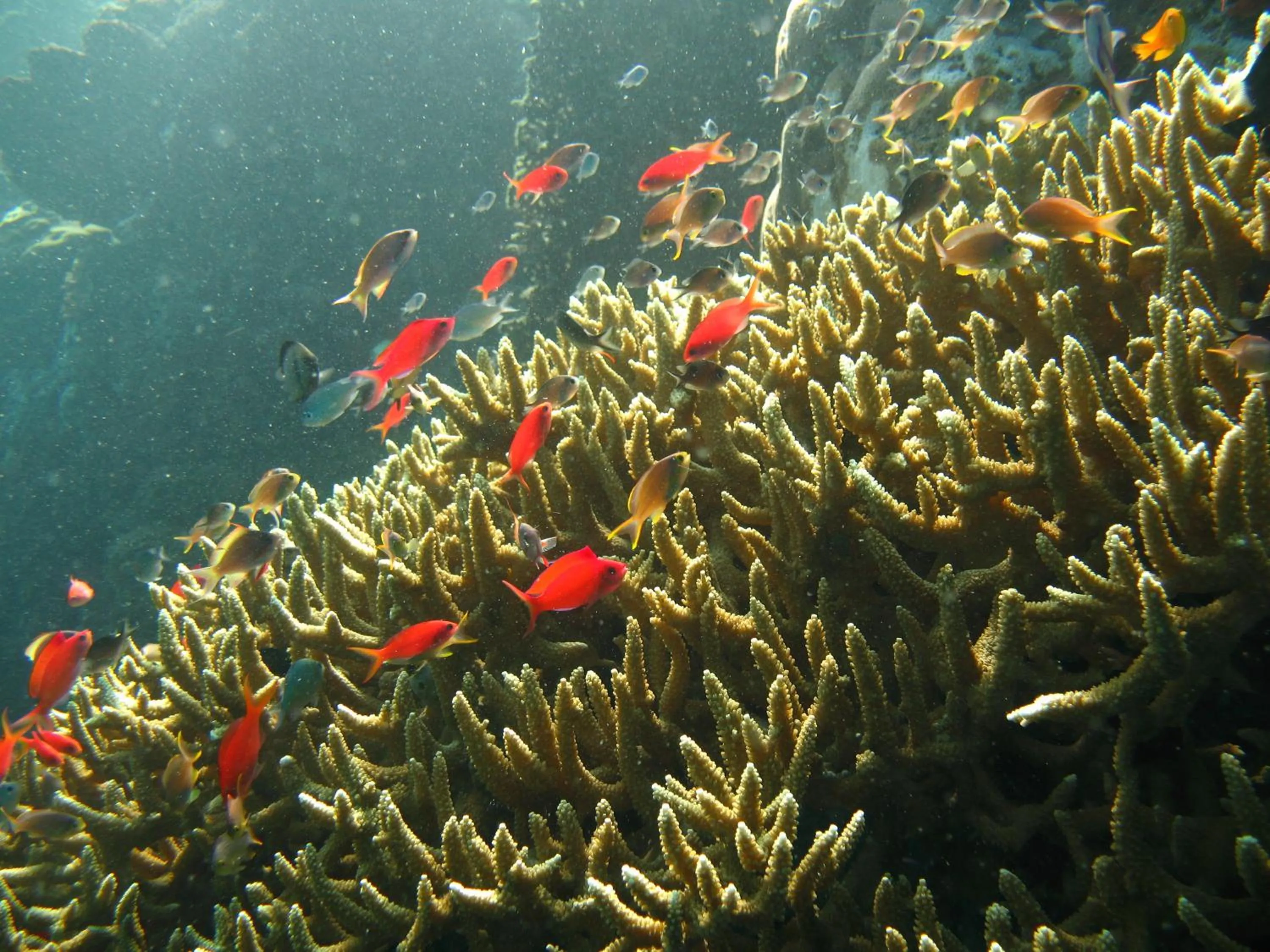 Off site in Oma In Pemuteran Bali