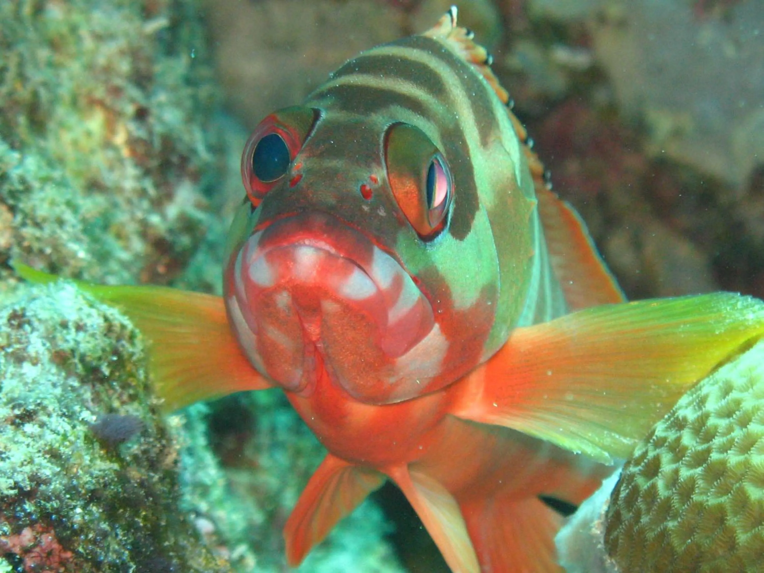 Off site in Oma In Pemuteran Bali