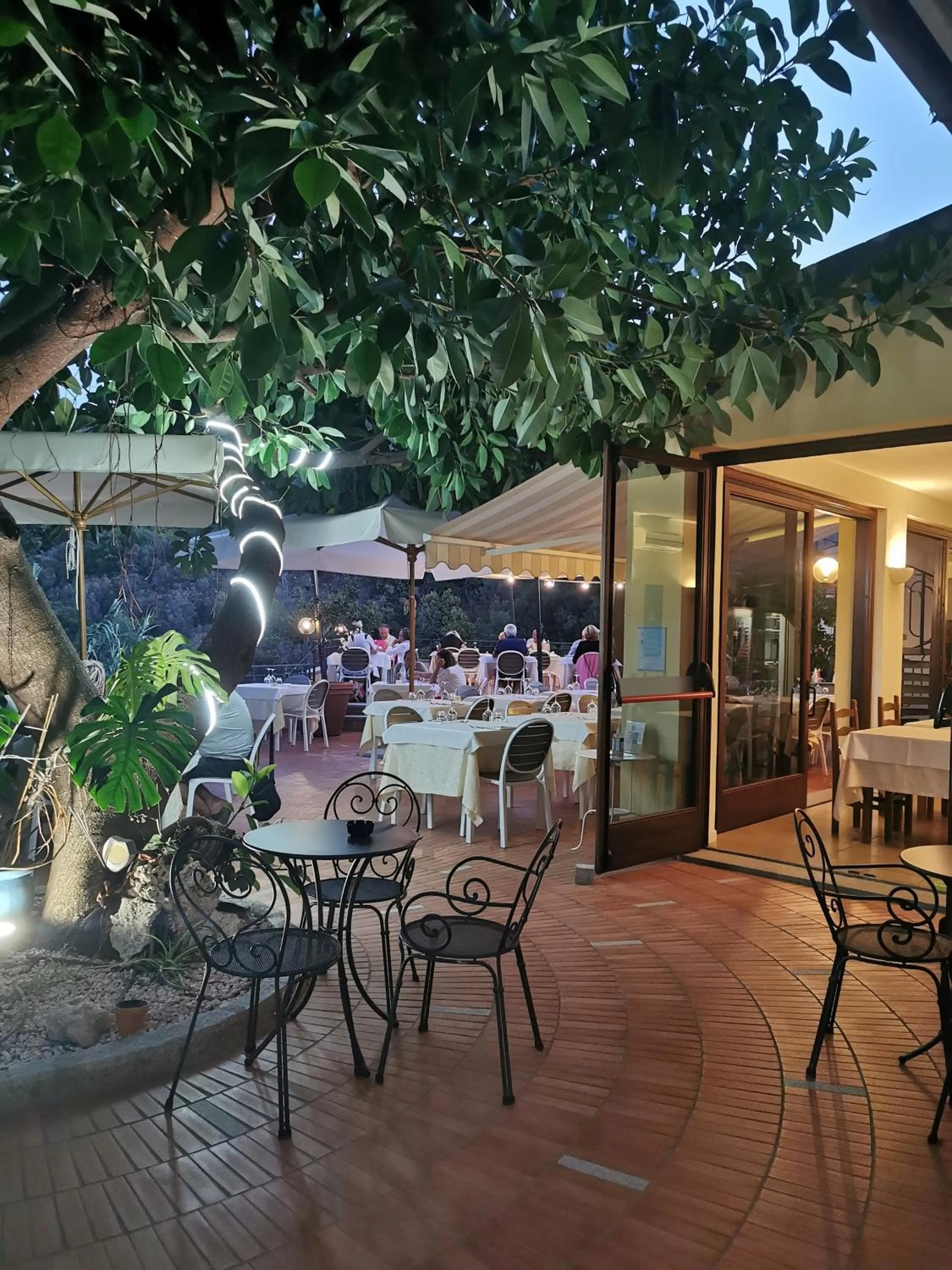 Restaurant/places to eat in Hotel Anna