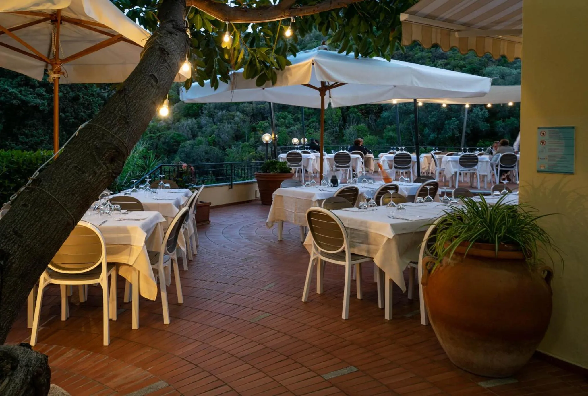 Restaurant/places to eat in Hotel Anna