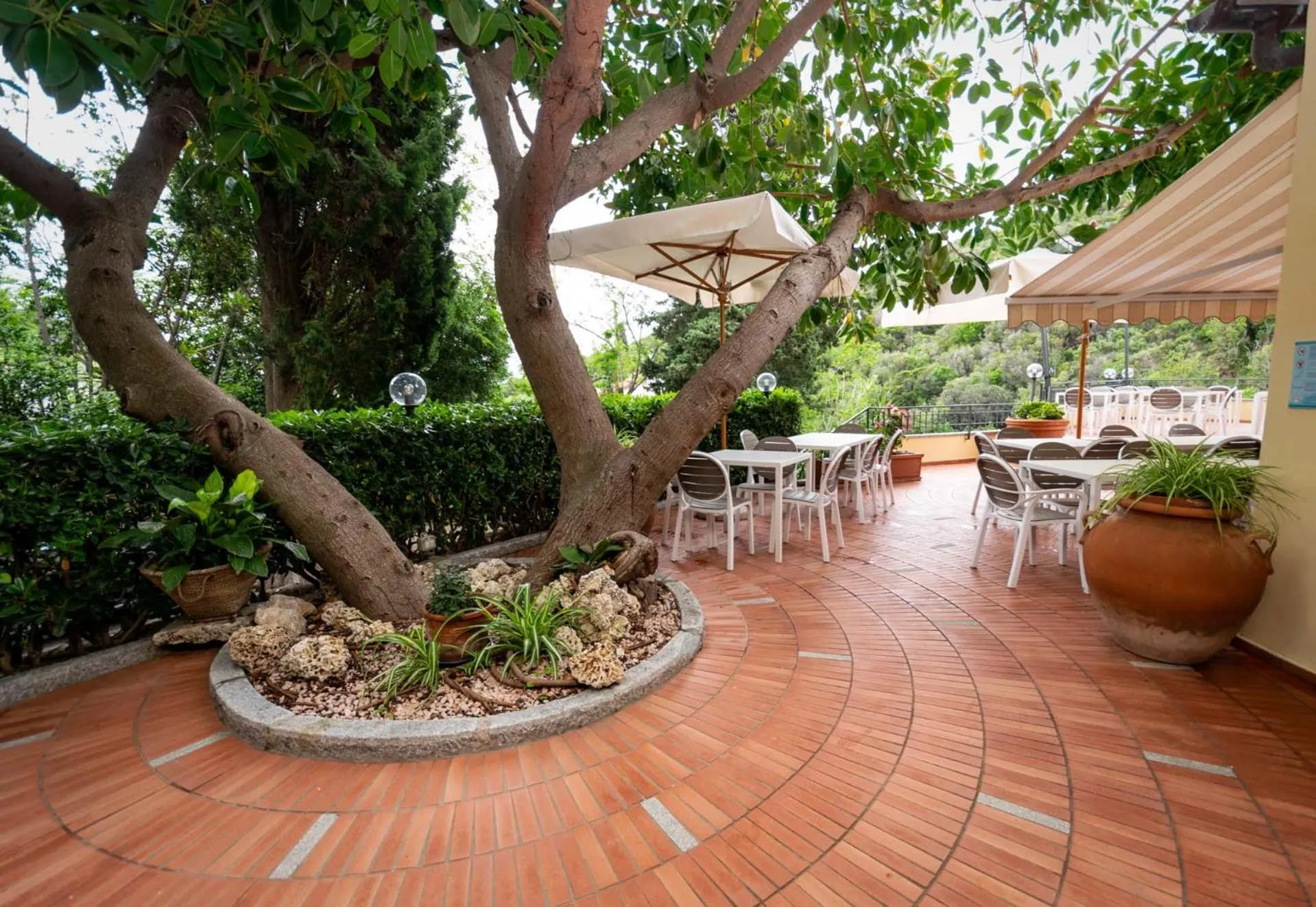 Restaurant/places to eat in Hotel Anna