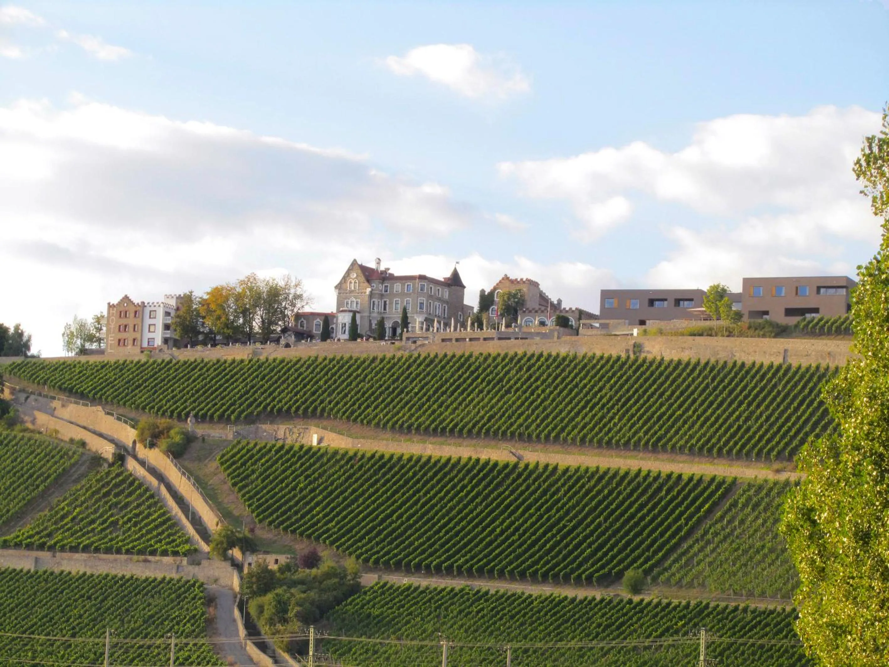 Facade/entrance in Schlosshotel Steinburg