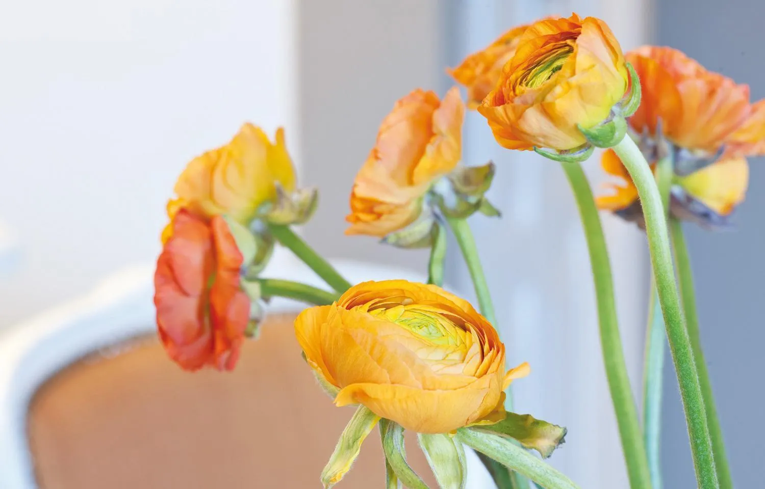 Decorative detail in Schlosshotel Steinburg