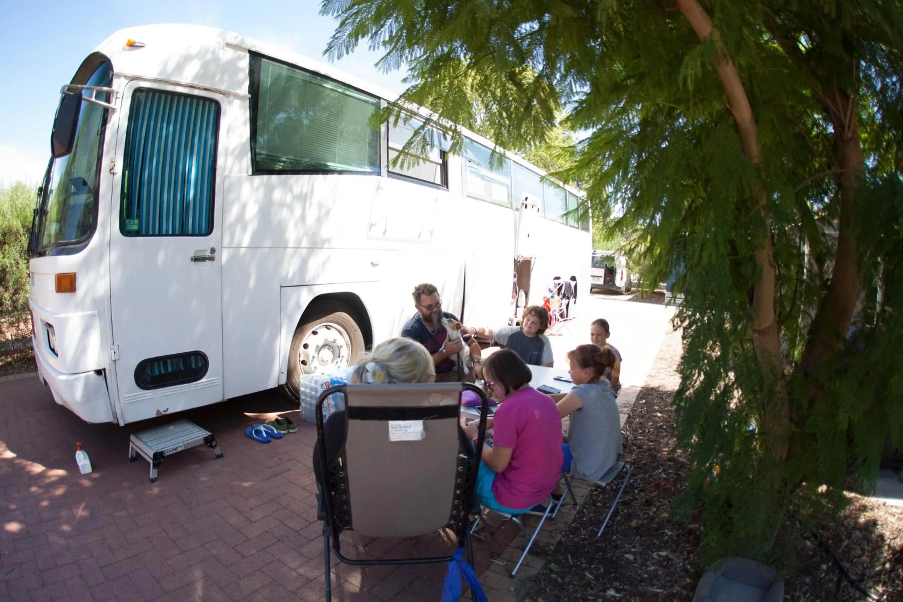 Garden view in Banksia Tourist Park