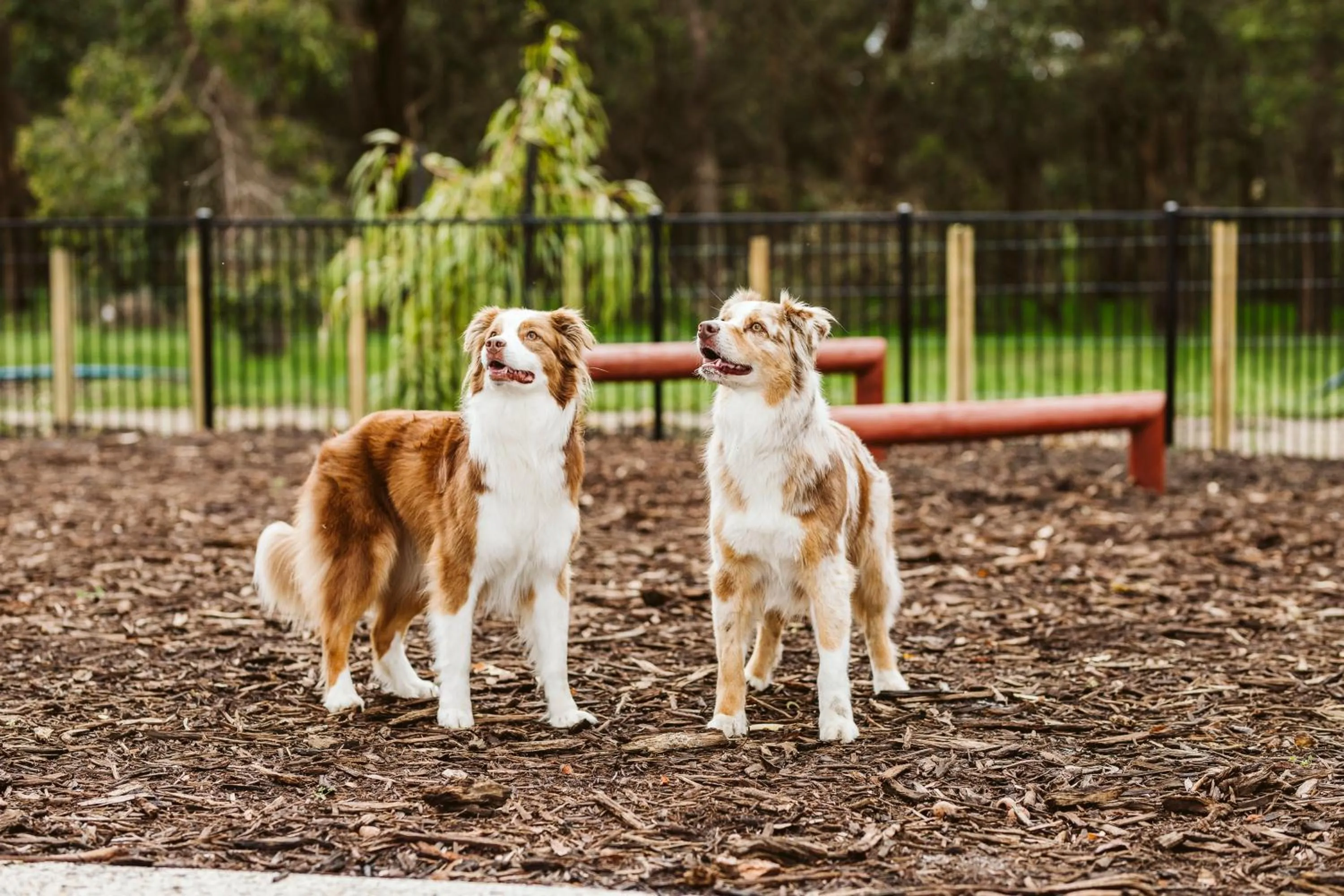 Banksia Tourist Park