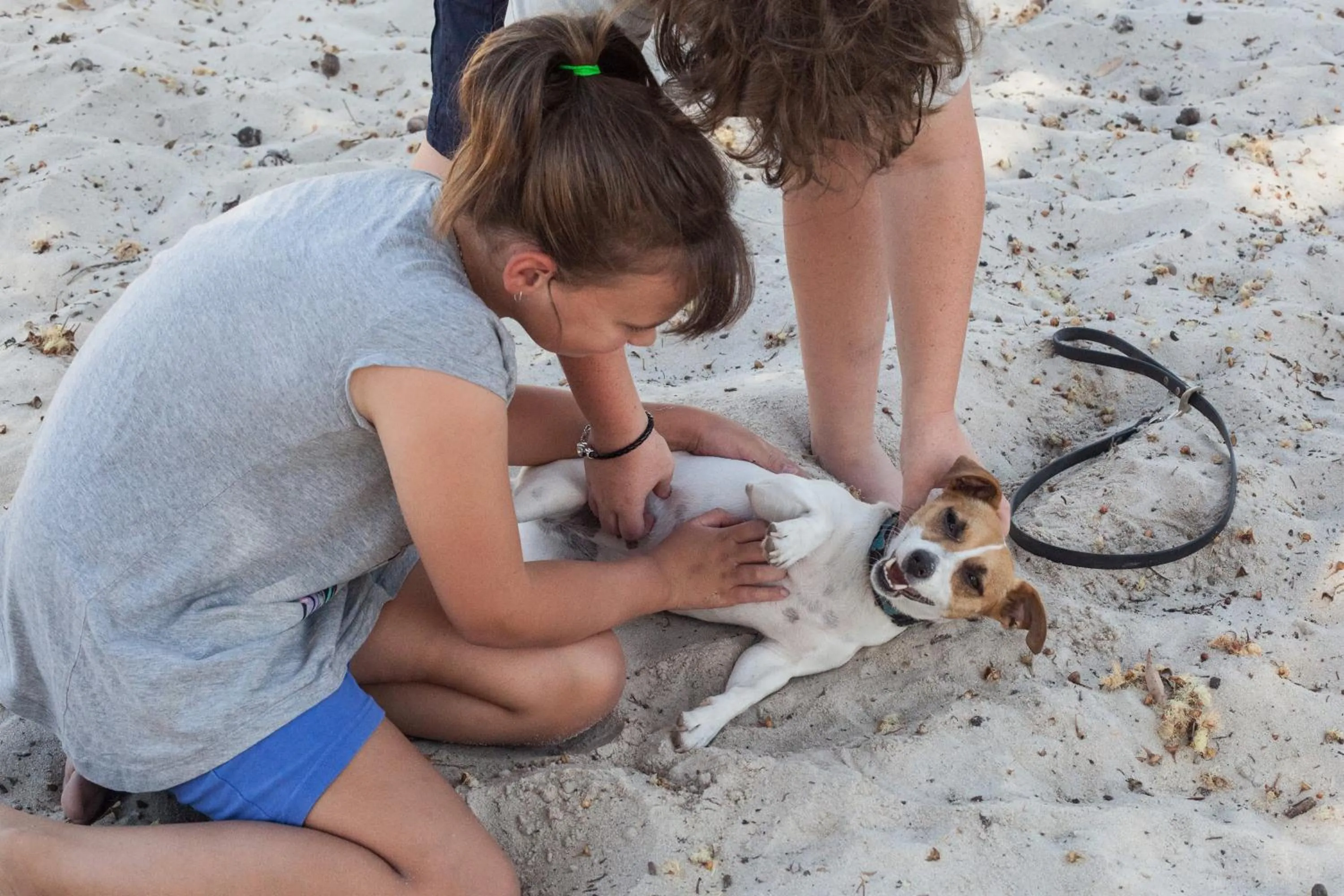 Pets in Banksia Tourist Park