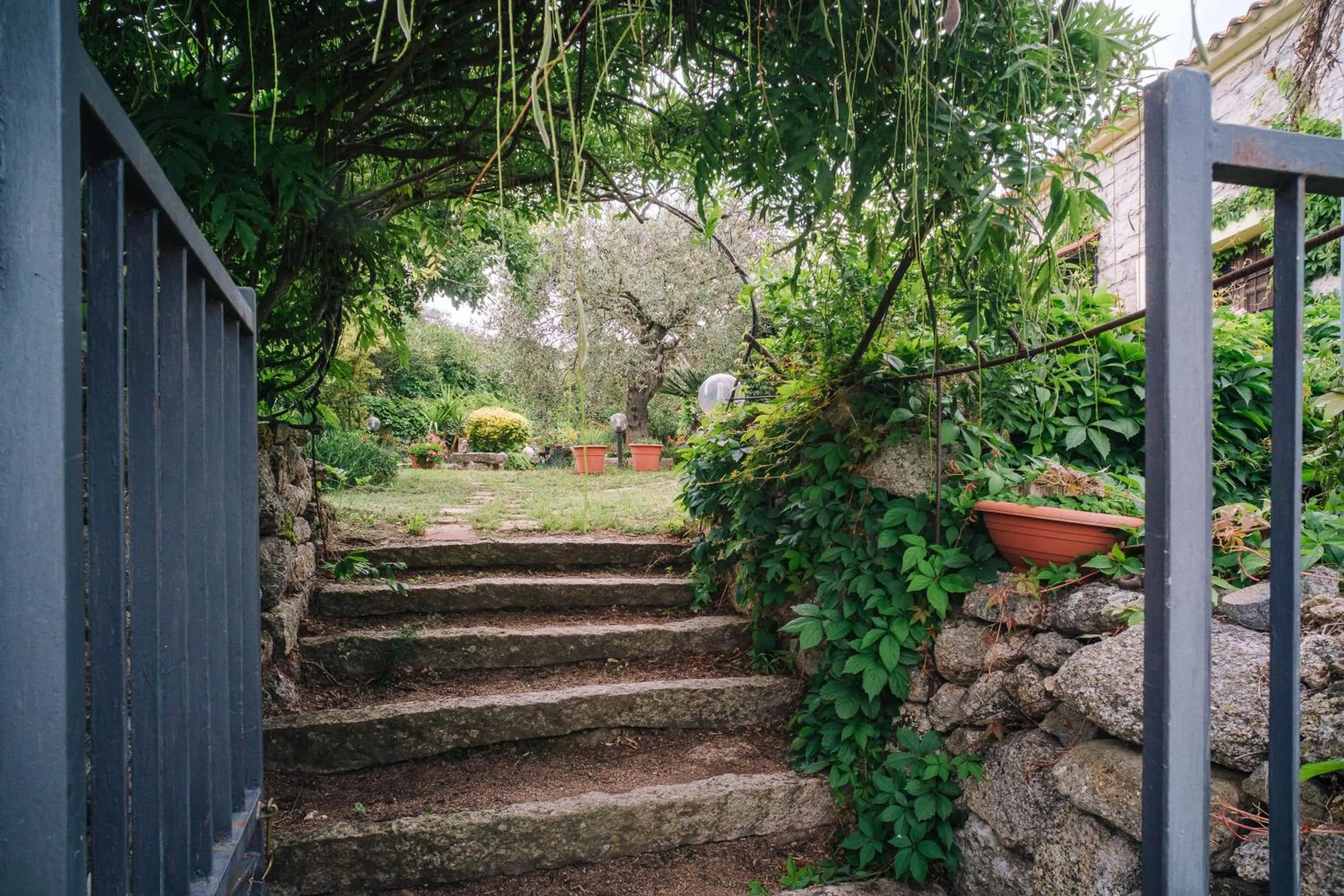 Balcony/Terrace in B&B San Michele